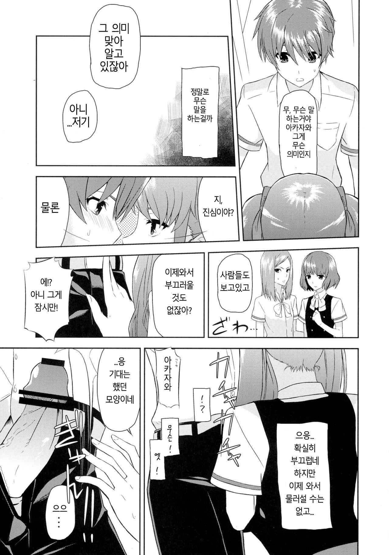 (C82) [Mou Sukoshi Hidari e (Uono Shinome)] Akazawa Route Junjou-ha (Another) [Korean]