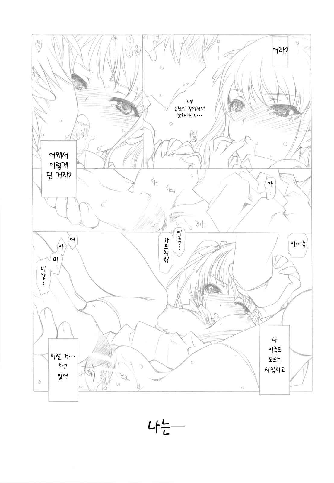 (COMIC1☆6) [UROBOROS (Utatane Hiroyuki)] Ima wa Mou Inai Kimi e (Another) [Korean]