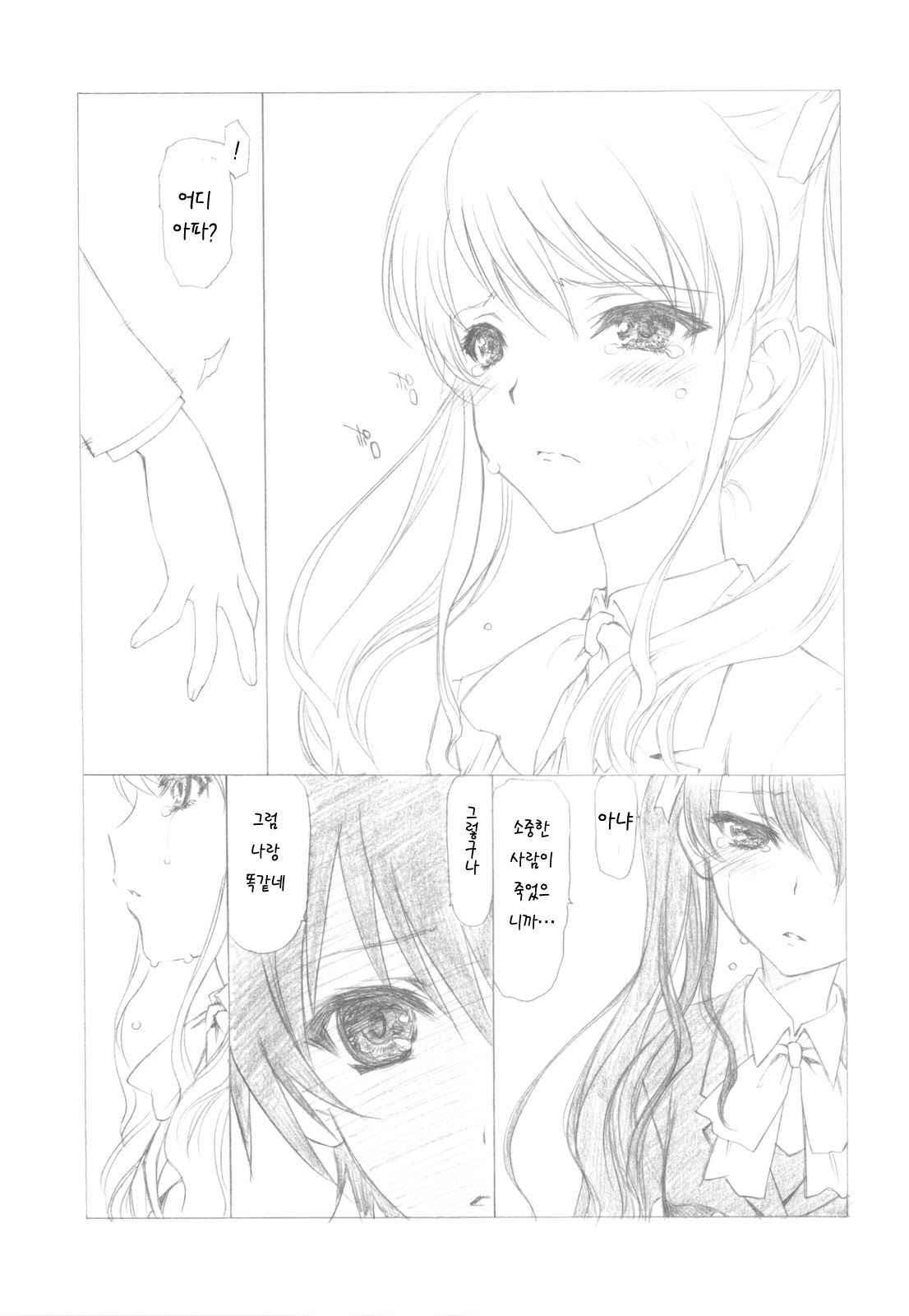 (COMIC1☆6) [UROBOROS (Utatane Hiroyuki)] Ima wa Mou Inai Kimi e (Another) [Korean]