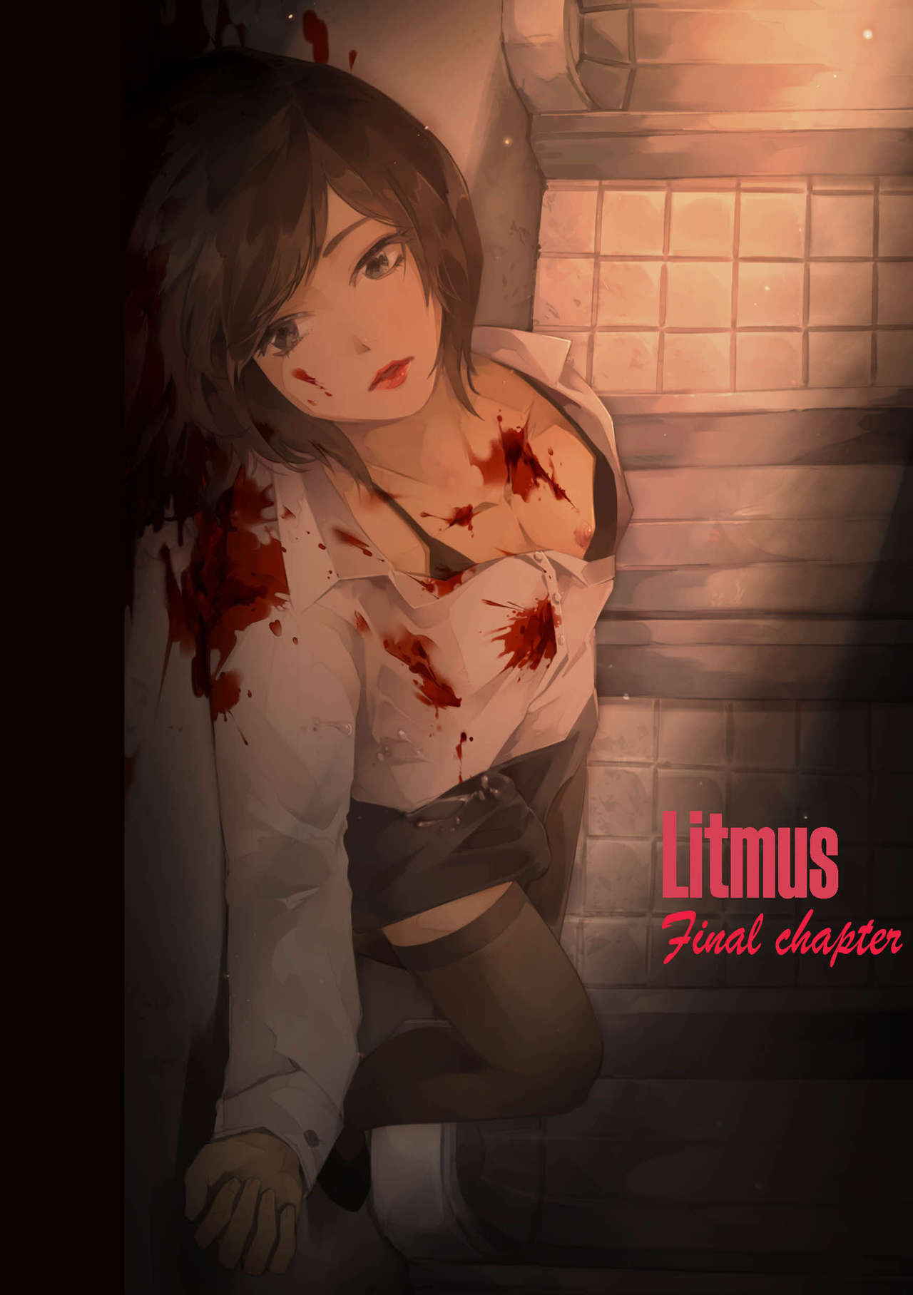 Litmus Final chapter_END_ (yaoi/crossdress story)