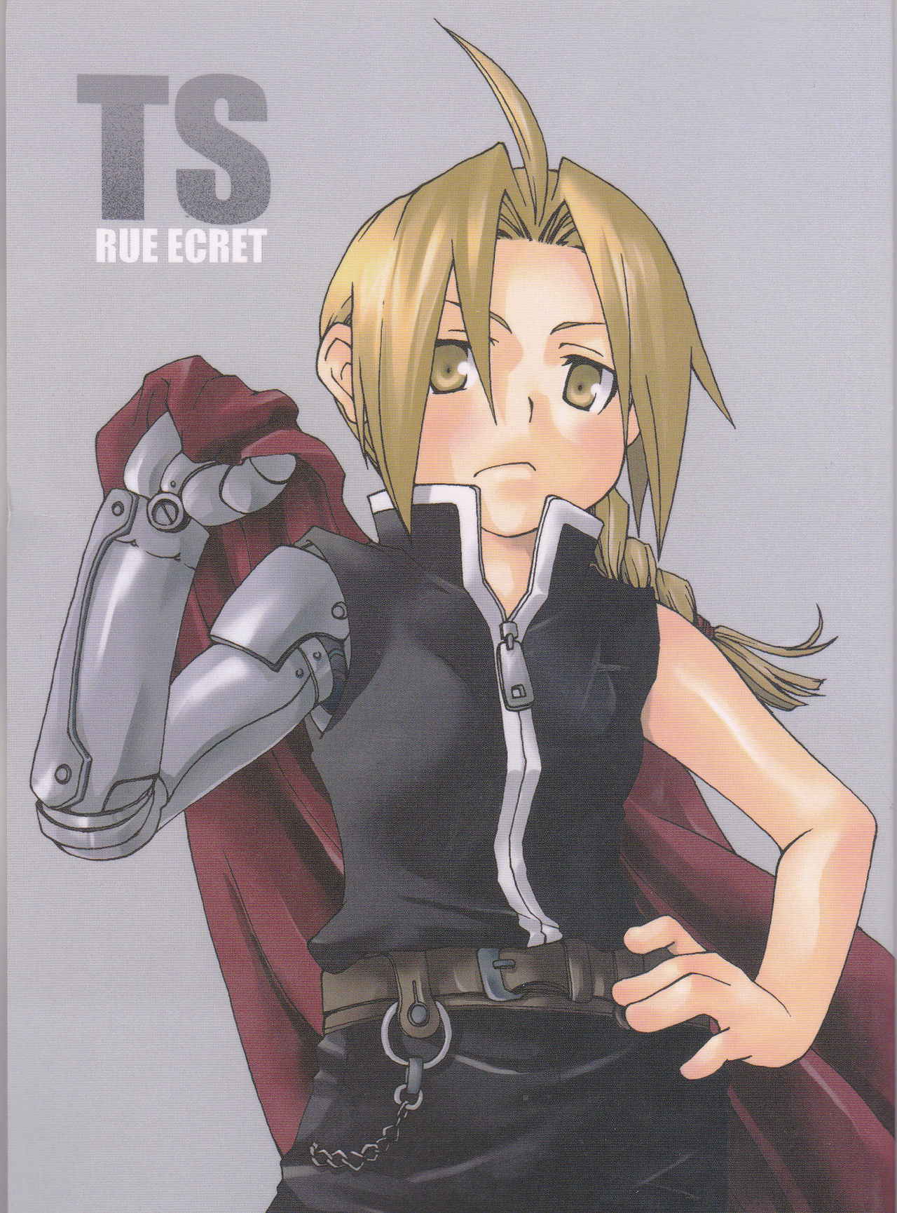 [MIX*SCRAMBLE (Kasuga Yume)] TRUE SECRET (Fullmetal Alchemist)