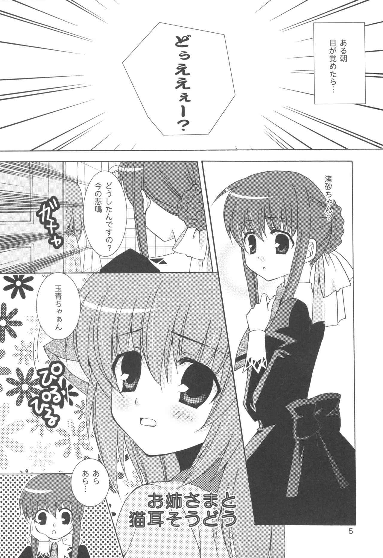 (C73) [ANGELBOX (Hazuki Ruka)] Onee-sama to Nekomimi Soudou (Strawberry Panic!)