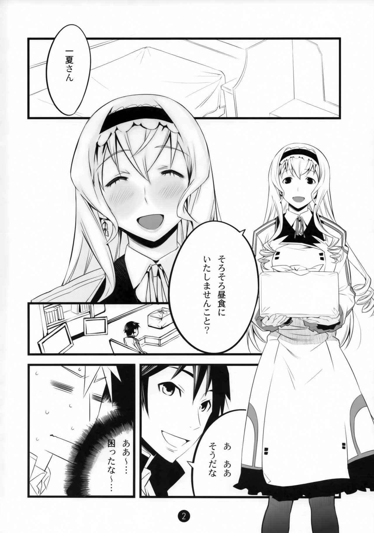 (COMIC1☆5) [Tansan Alkali (Tanru)] Summer Of Love (IS <Infinite Stratos>)