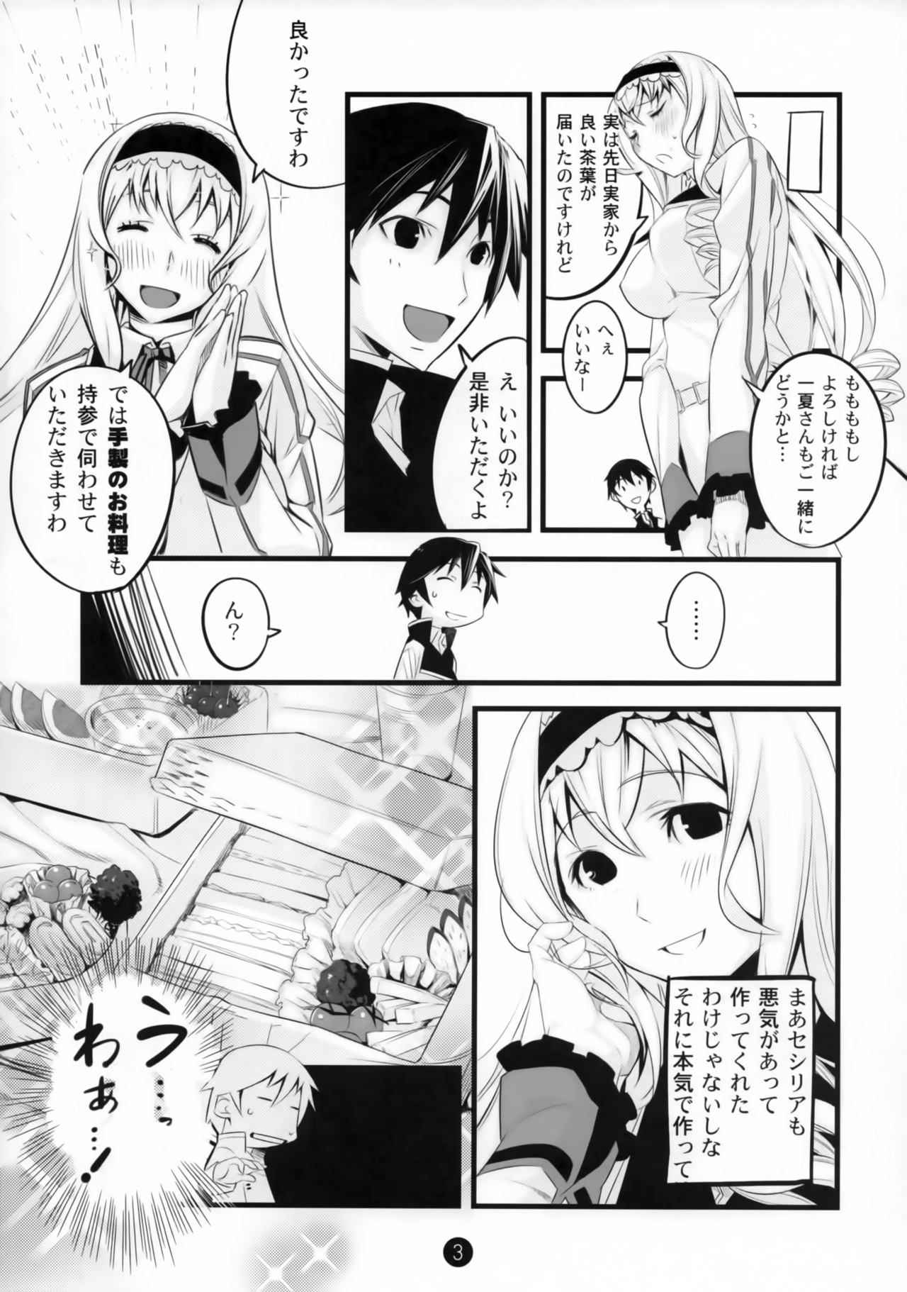 (COMIC1☆5) [Tansan Alkali (Tanru)] Summer Of Love (IS <Infinite Stratos>)