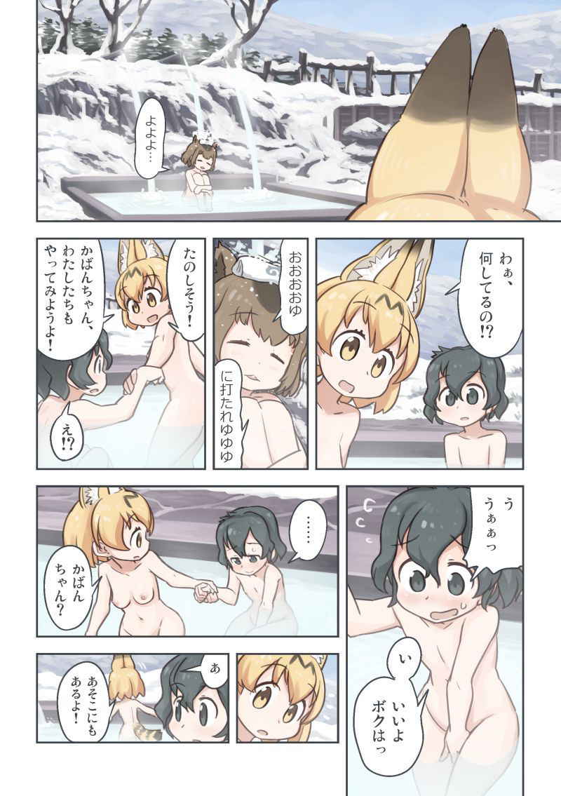 [わいぱ置き場 (Quick Wiper)] たきび (Kemono Friends) [Digital]