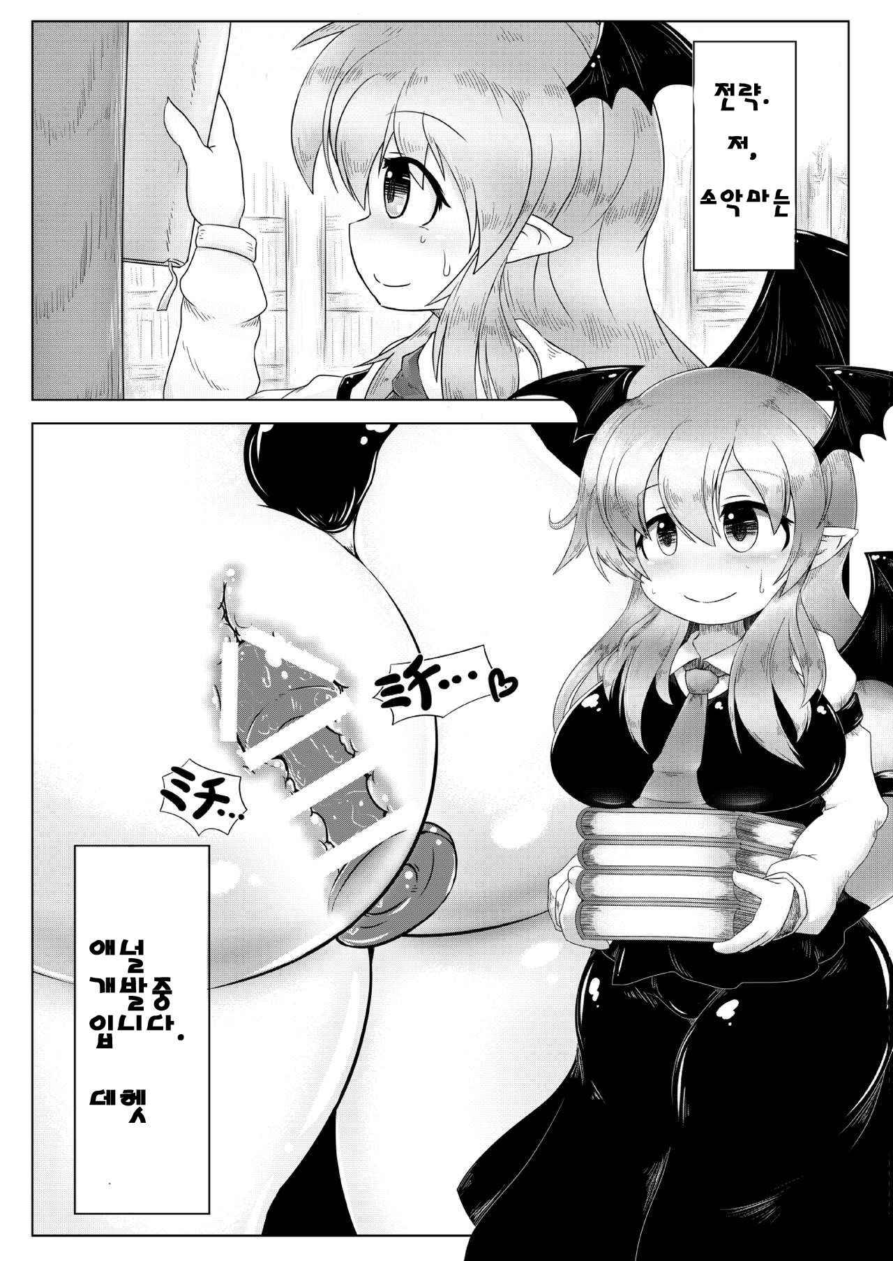 [Daishizen Juukou (Ashita)] Kyokina ana no Koakuma-san (Touhou Project) [Digital] [korean]