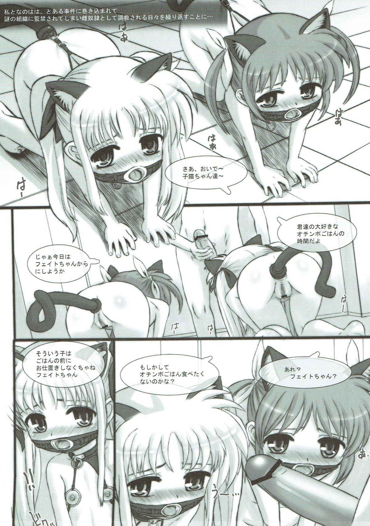 (C80) [Marchen Box (Various)] Nano Para 9 (Mahou Shoujo Lyrical Nanoha)