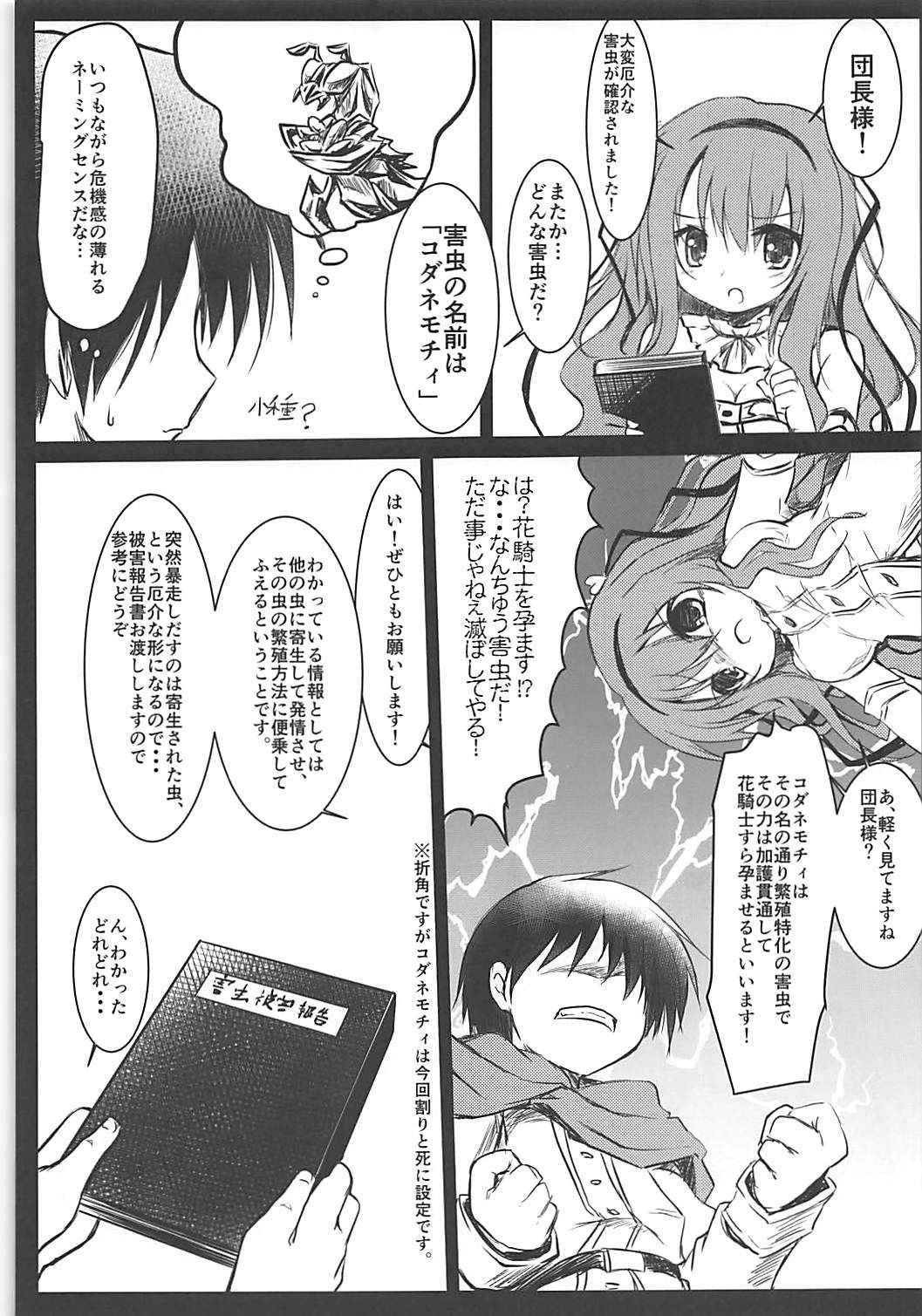 [鈴鳴堂] 害虫被害報告書 (フラワーナイトガール)