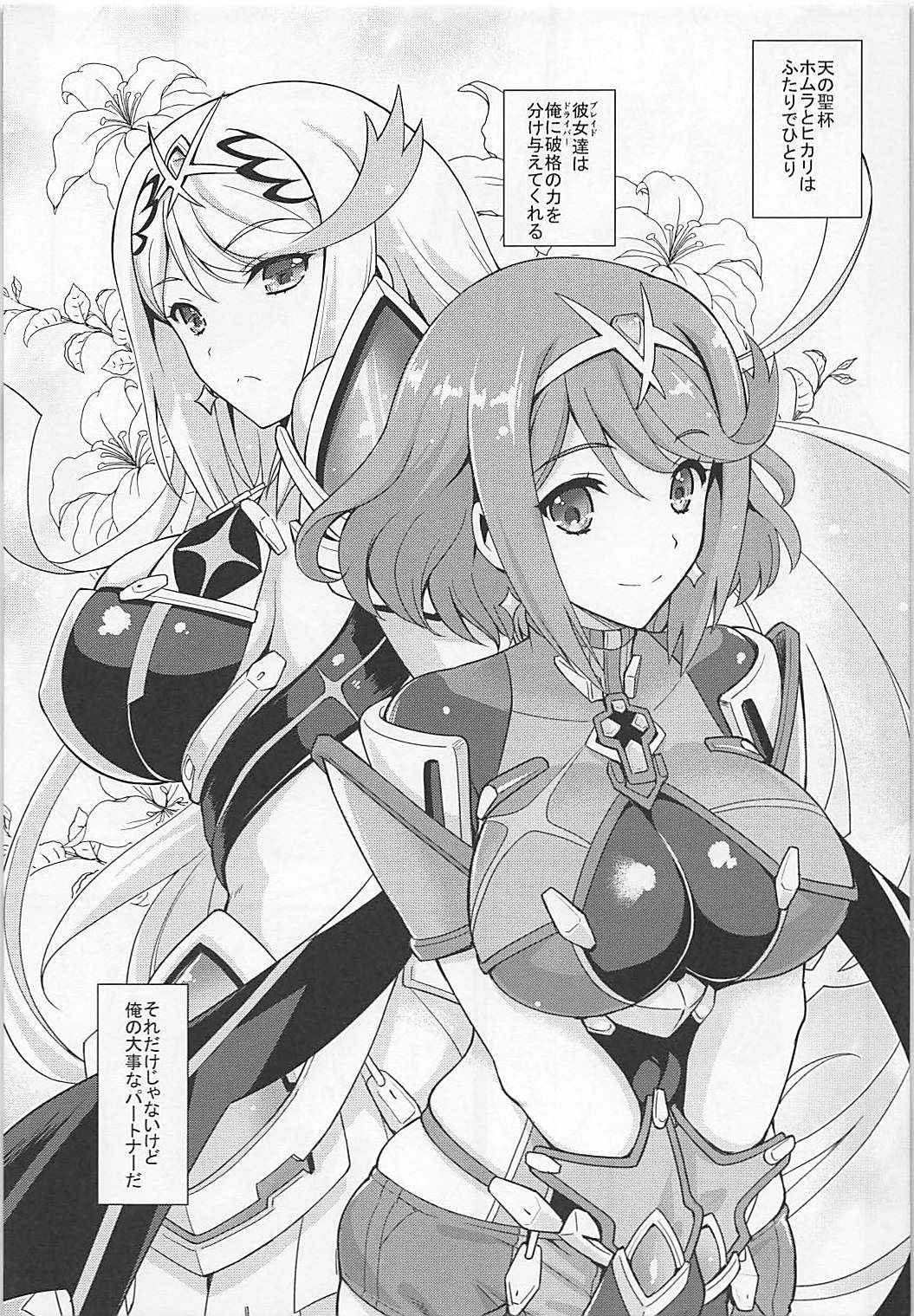 (COMIC1☆13) [Uguisuya (Uguisu Kagura)] Sono Seihai wa Koyoi mo Atsuku Nure Sobotsu (Xenoblade Chronicles 2)