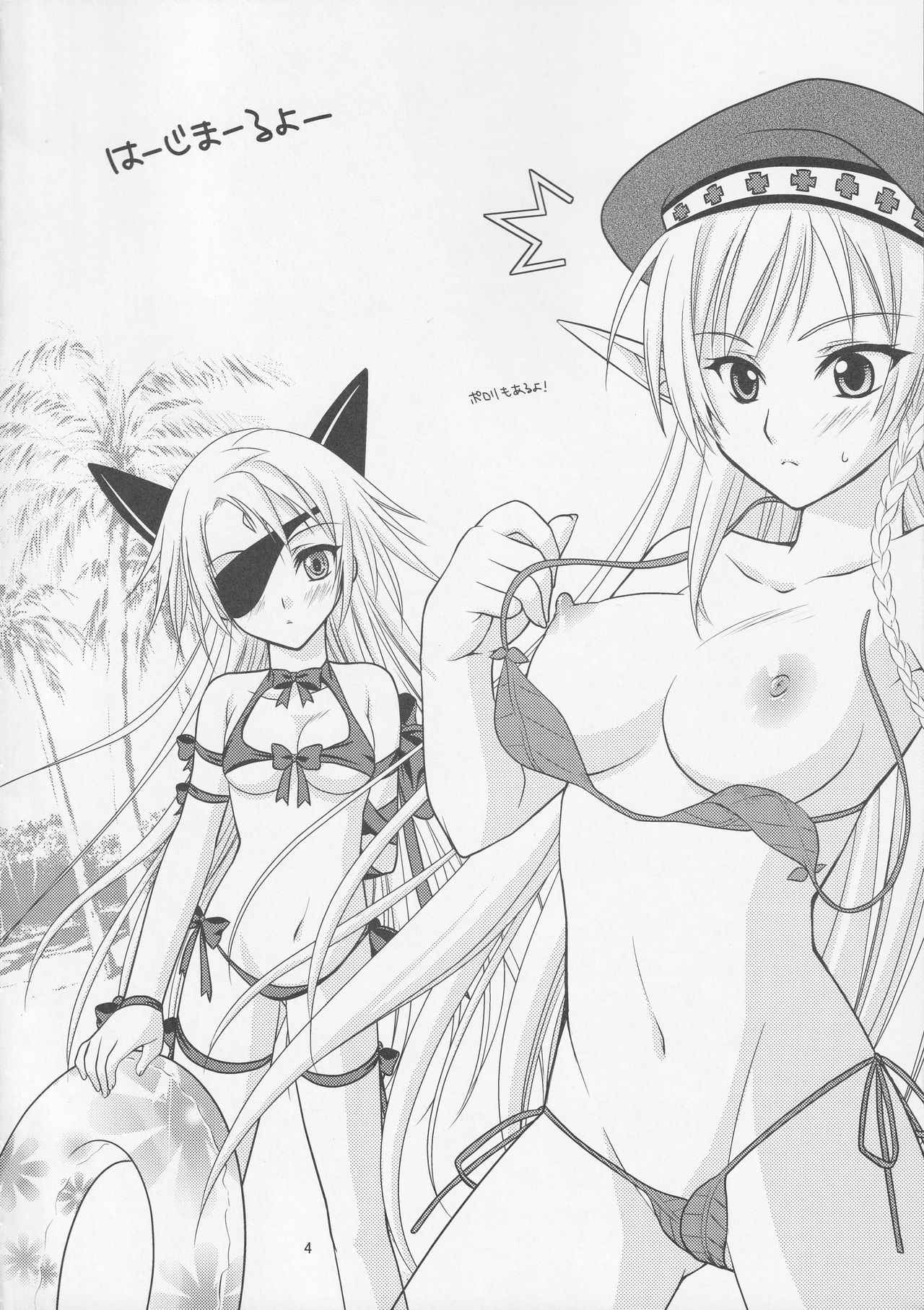 (C76) [VENOM (Mori Marimo, ZIN)] BtoC (Queen's Blade)