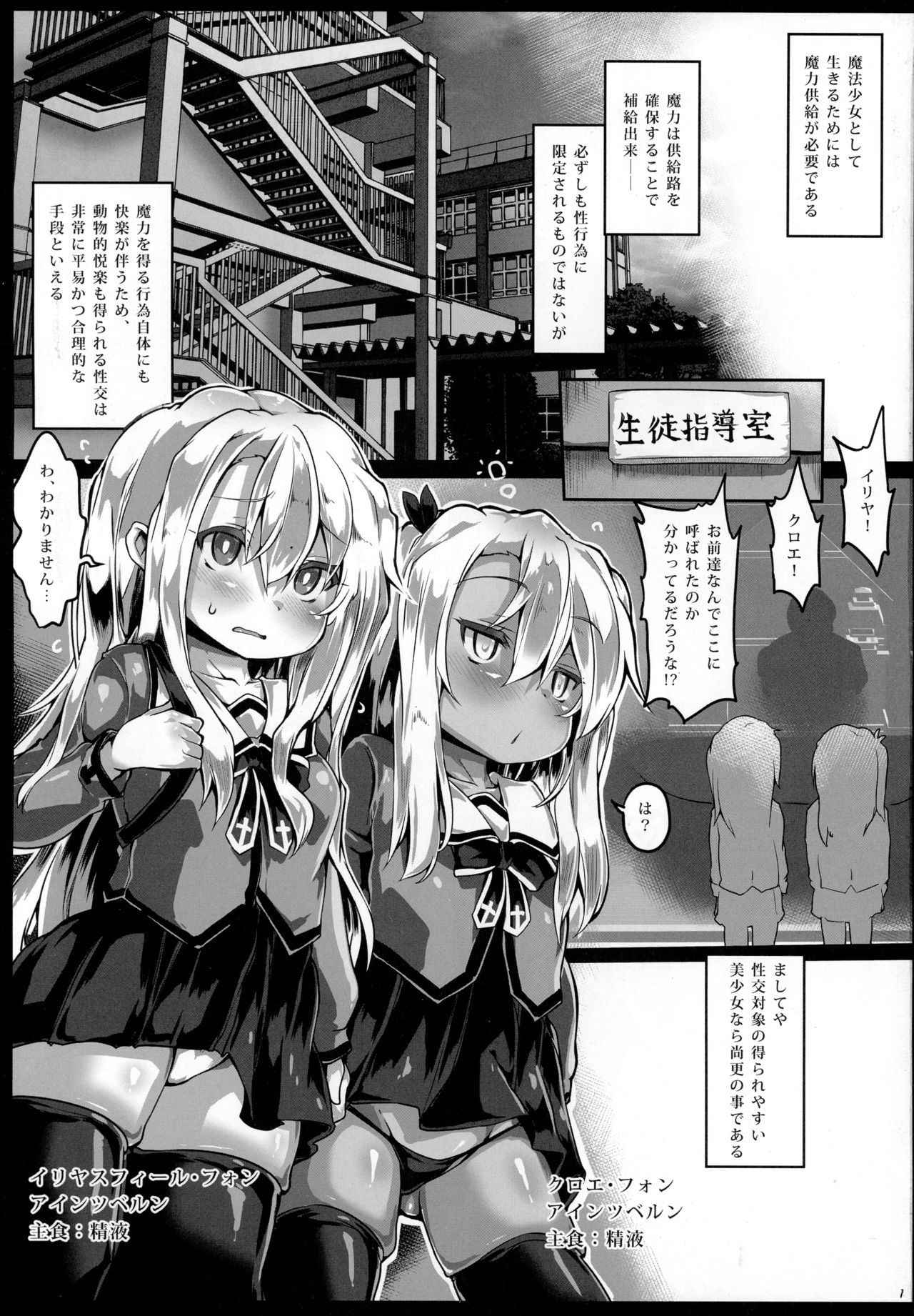 (COMIC1☆13) [Roubai-tei (atahuta)] Hatsujou Otome no Shitsukekata (Fate/Grand Order, Fate/kaleid liner Prisma Illya)