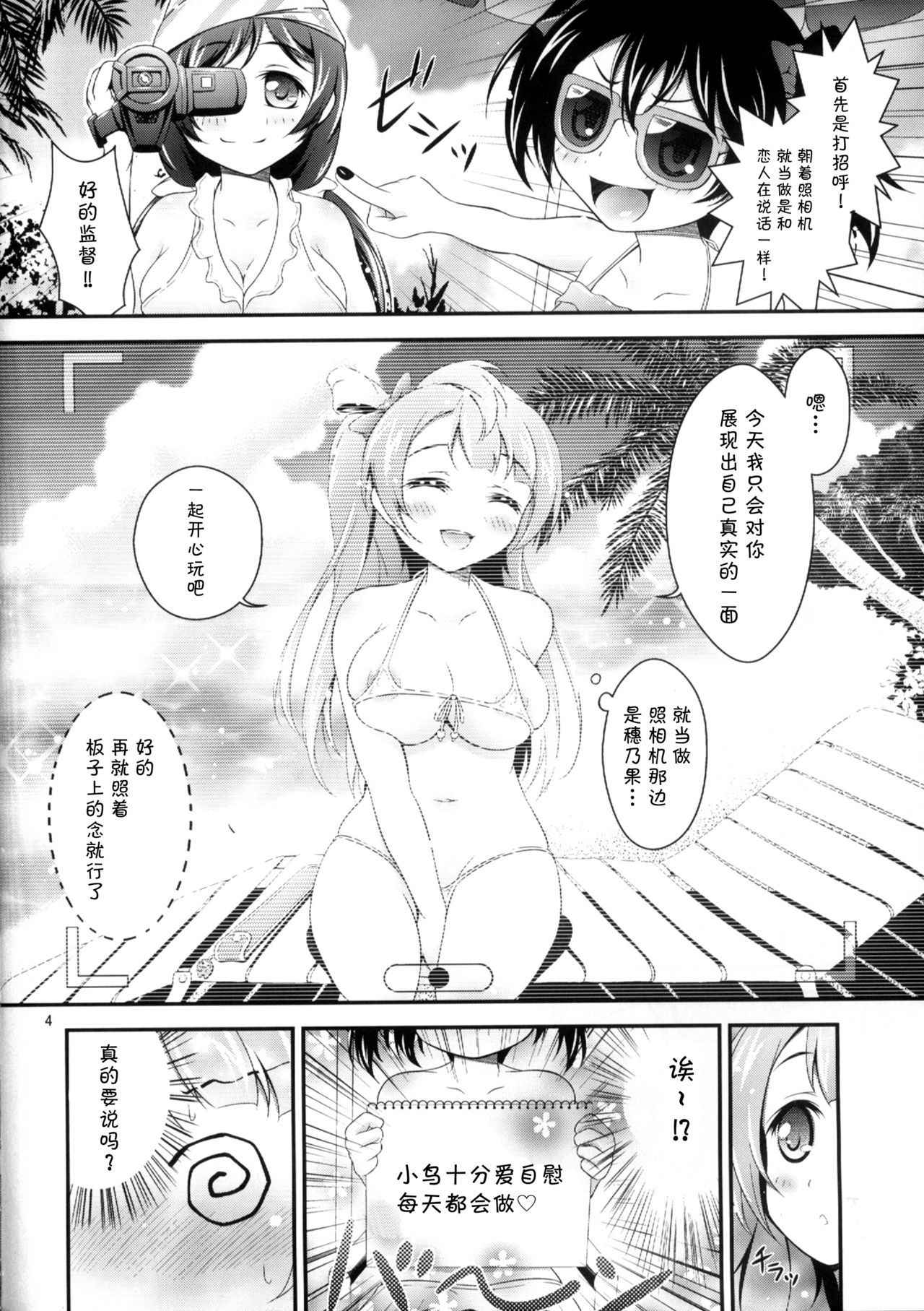 (COMIC1☆8) [H na Hon. Ya san. (Akki)] Kotori no H na Hon. (Love Live!) [Chinese] [脸肿汉化组]