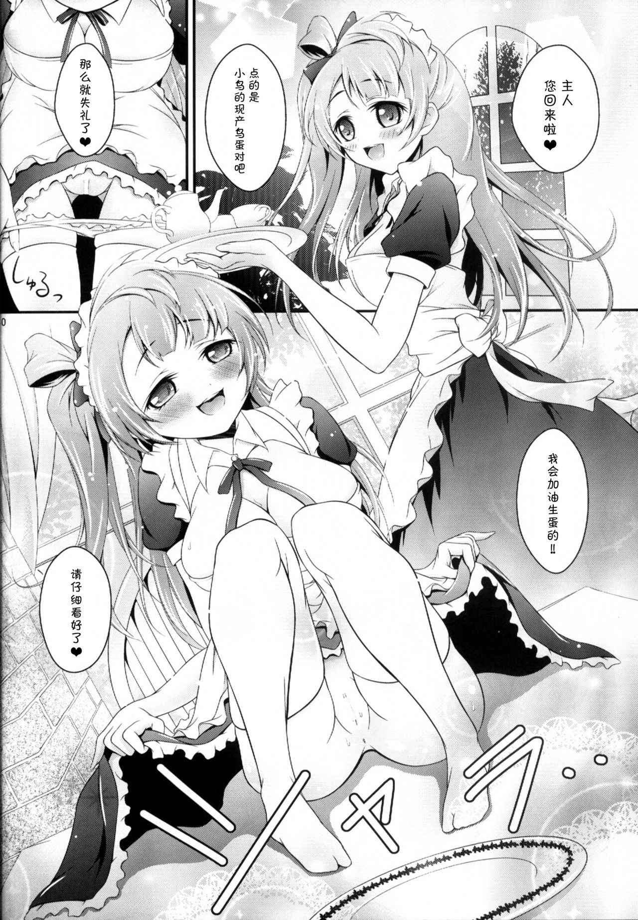 (COMIC1☆8) [H na Hon. Ya san. (Akki)] Kotori no H na Hon. (Love Live!) [Chinese] [脸肿汉化组]