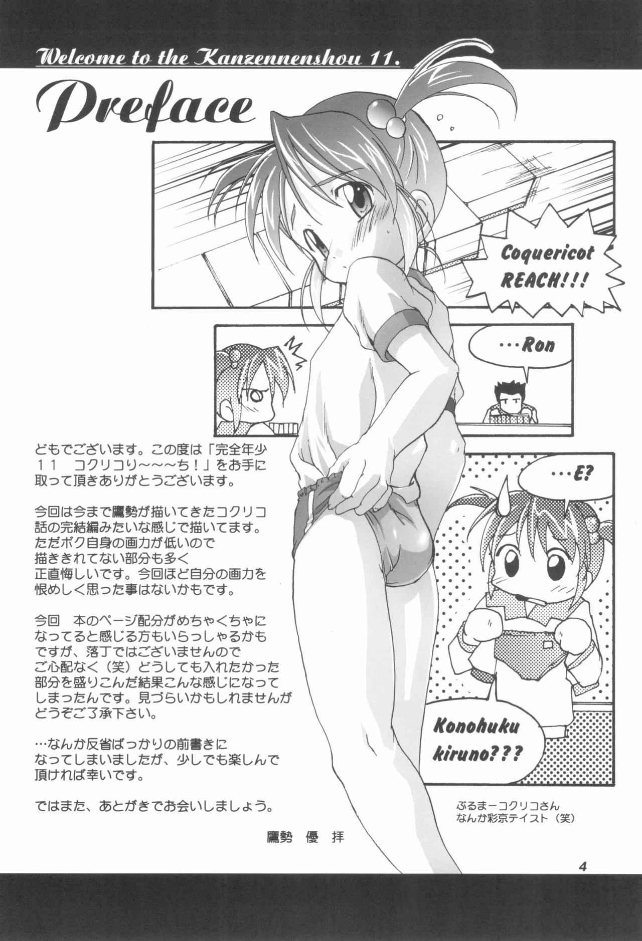 (C62) [Studio Rakkyou (Takase Yuu)] Kanzen Nenshou 11 (Sakura Taisen)