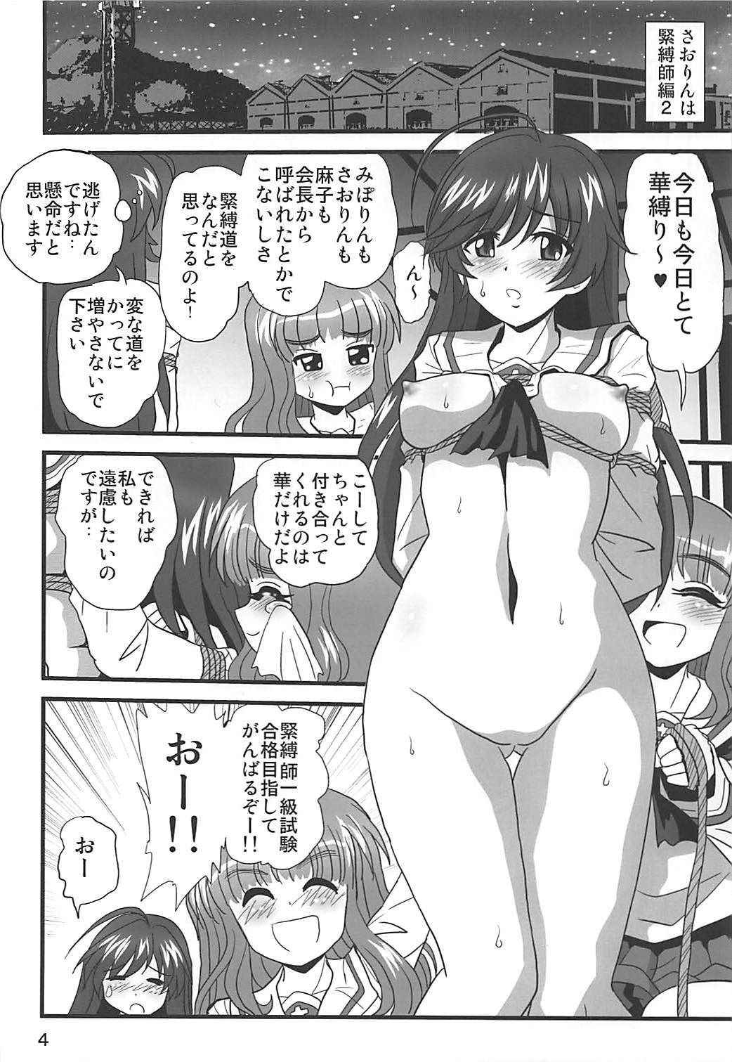 (COMIC1☆13) [Thirty Saver Street (Sawara Kazumitsu, Maki Hideto)] G Panzer 20 (Girls und Panzer)