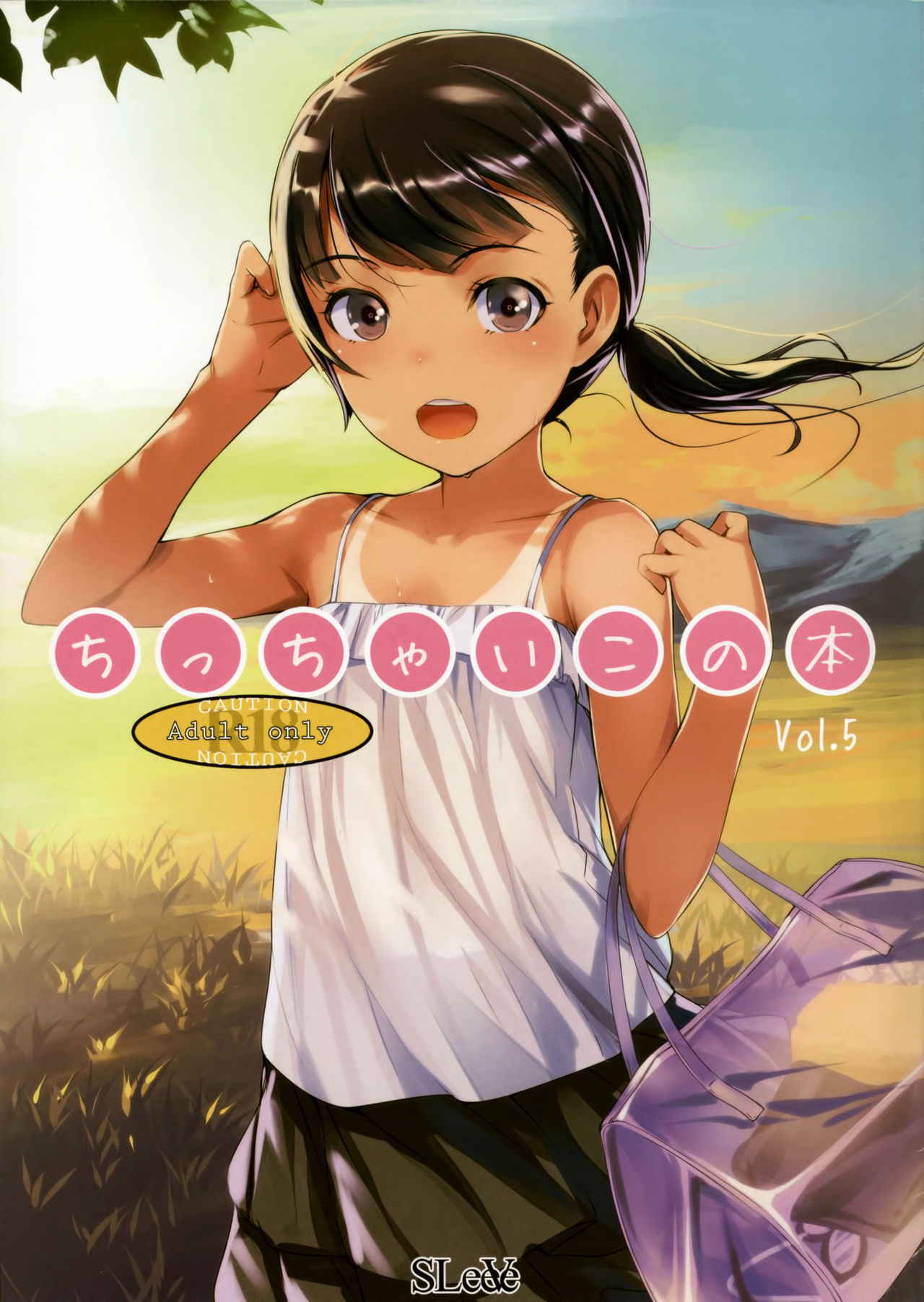 (C88) [SLeeVe (Sody)] Chicchai Ko no Hon Vol. 5 [Chinese] [脸肿汉化组]