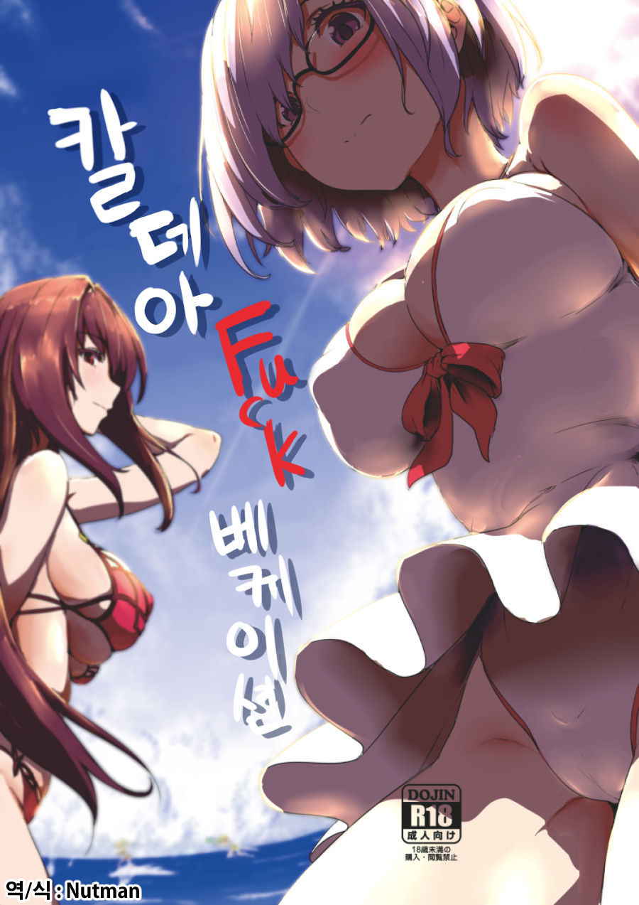 (C92) [Cleari tei (Clearite)] Chaldea Fuck Vacation | 칼데아 Fuck 베케이션 (Fate/Grand Order) [Korean] [팀실버]