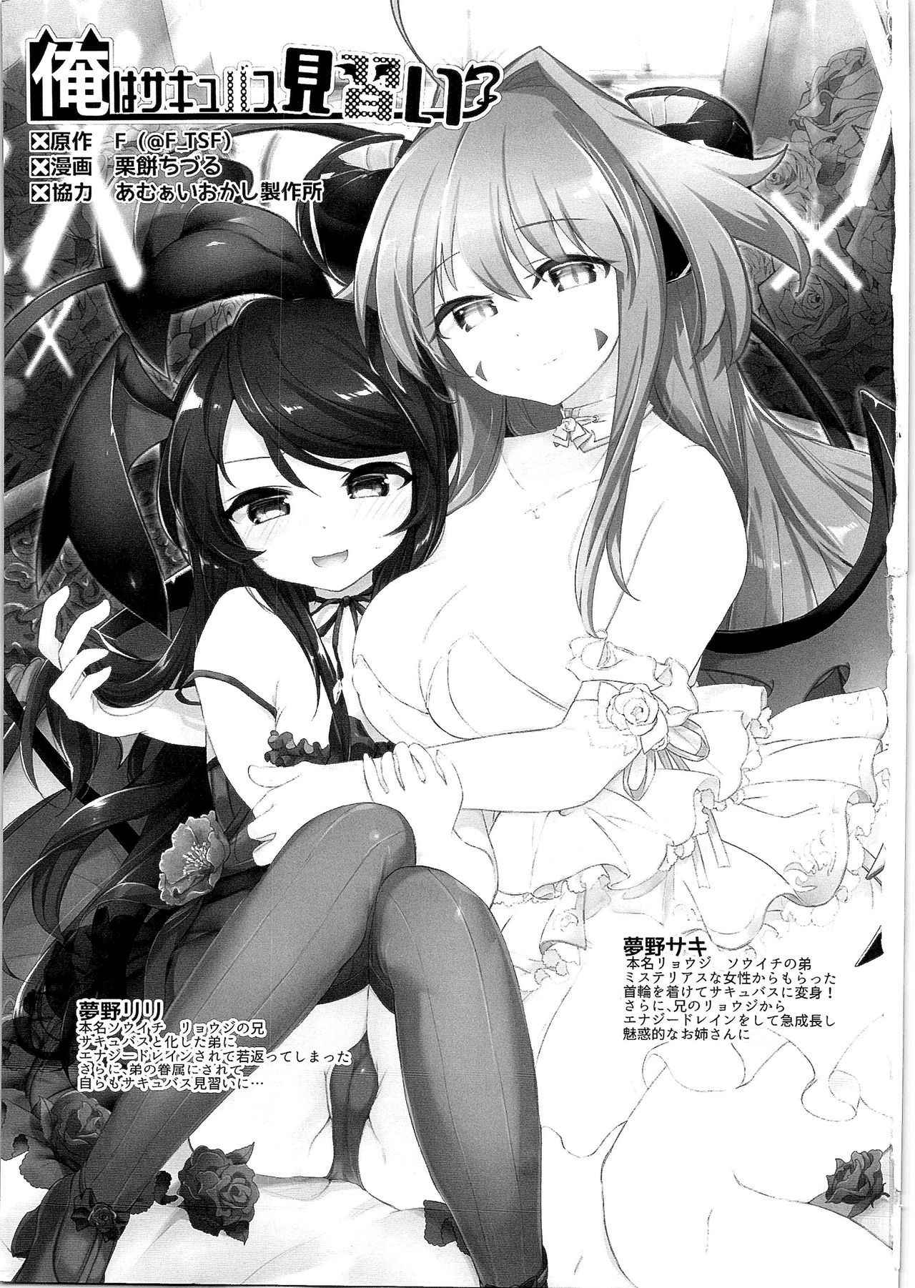 (C92) [TSF no F (Various)] TSF no F no Hon Sono 3 no Ge