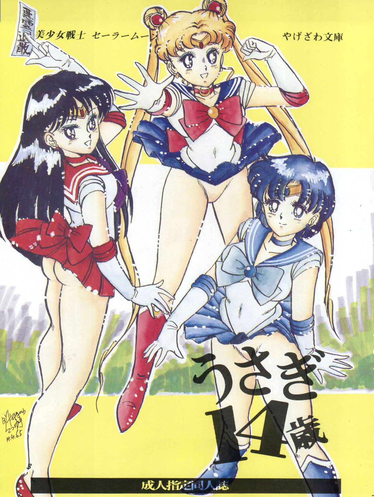 [Yagezawa Bunko (Yagezawa Tetsuyuki)] Usagi 14-sai (Bishoujo Senshi Sailor Moon)