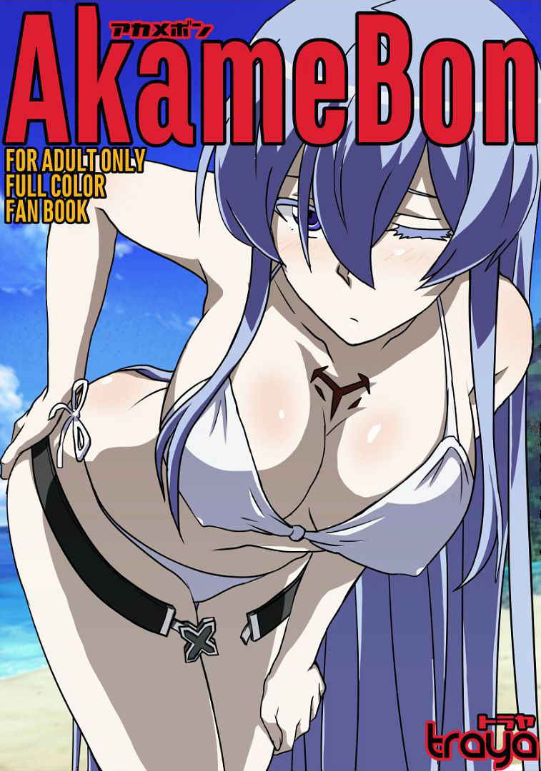 [TraYA] Akamebon (Akame ga Kill!) [English] [Chooks22]