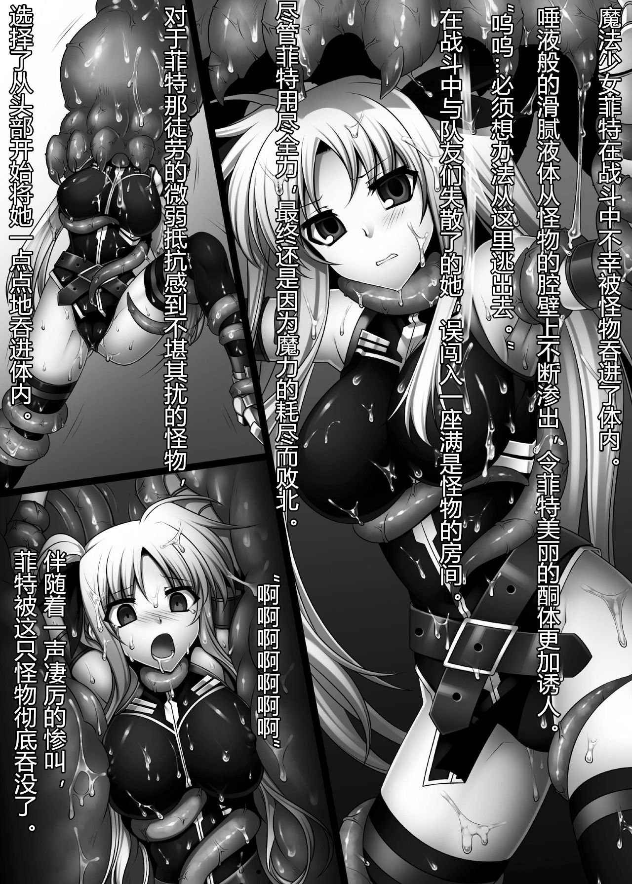 [Daraku Jiko Chousa Iinkai (Sch-mit)] Daraku Shitsumukan (Mahou Shoujo Lyrical Nanoha) [Chinese] [村长个人汉化] [Digital]