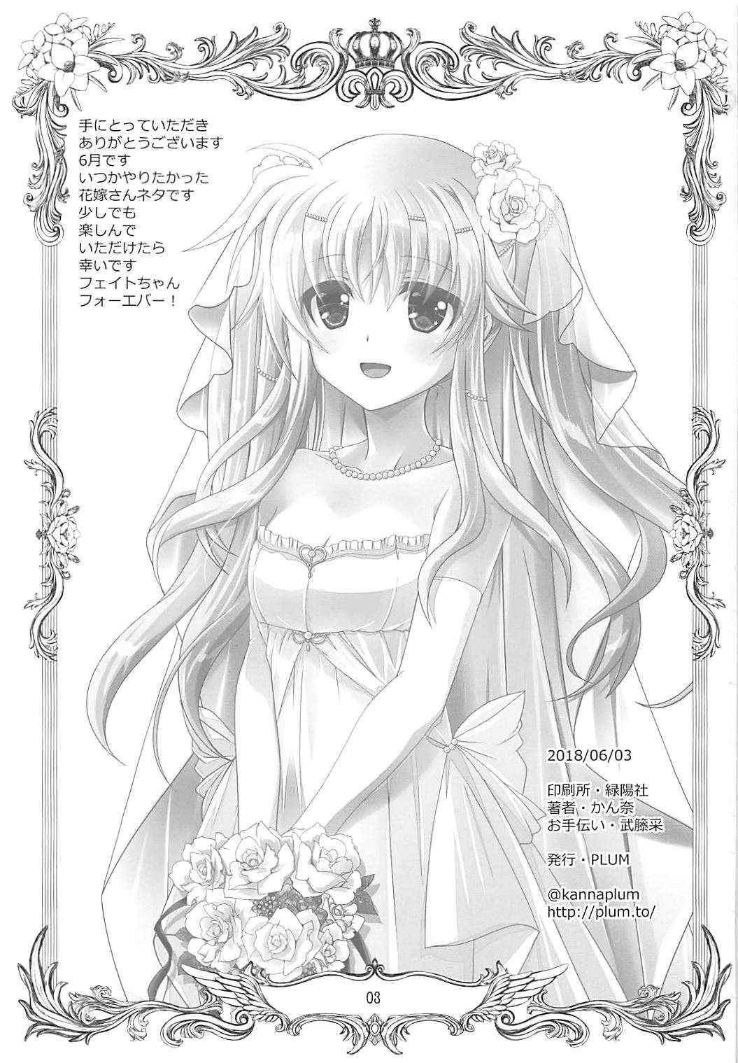 (Lyrical Magical 25) [PLUM (Kanna)] Magical SEED BRIDE (Mahou Shoujo Lyrical Nanoha)