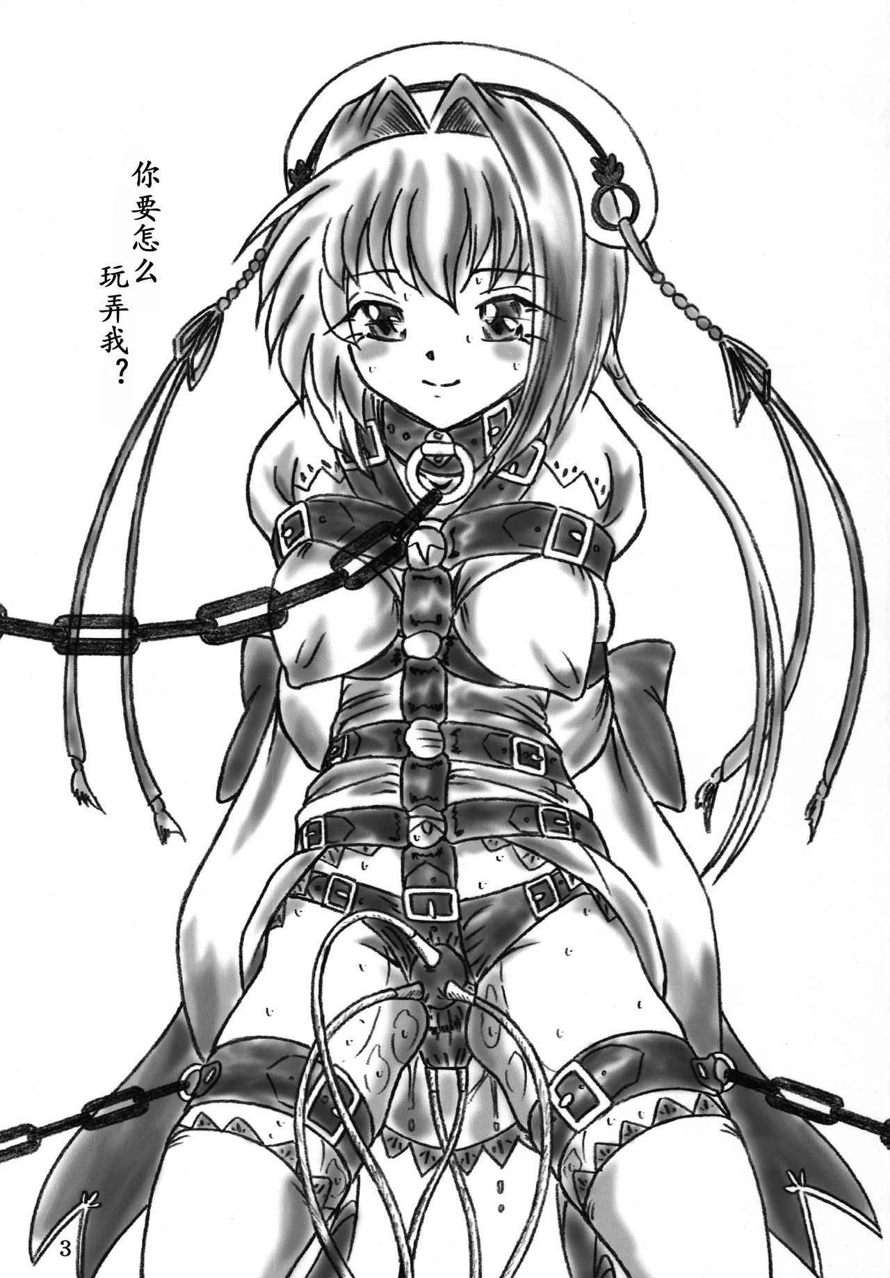 (C76) [Sumomo Dou (Sumomo EX)] Ririan. 4 - Shin Chouun desu (Koihime Musou) [Chinese] [有条色狼汉化]