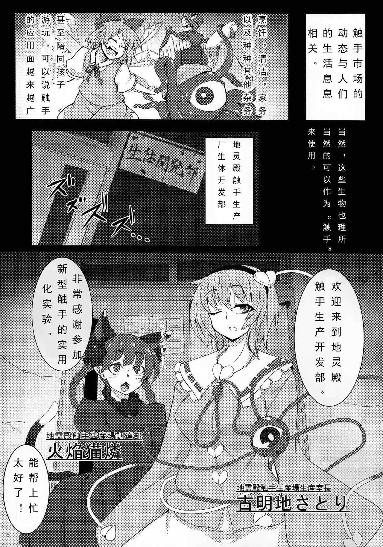 (Reitaisai 11) [Hadairo Rooibos Tea (Pandain)] Shokushu Chireiden 2 ~Satori Kakuchou Kaihatsu~ (Touhou Project) [Chinese] [可乐个人汉化]