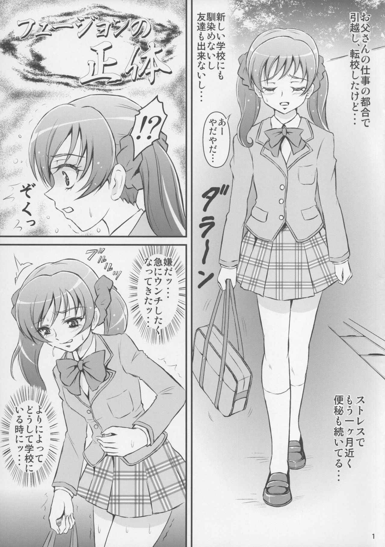 (C83) [Himitsu Doyoubi (Matsutaka Zon)] Fusion no Shoutai (PreCure All Stars)