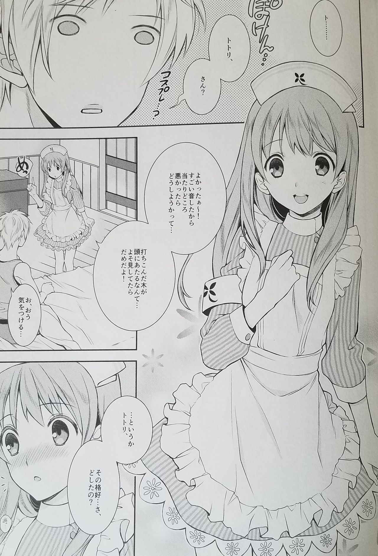 (C89) [Totsugeki Wolf (Yuuki Mitsuru)] Can you master baby? 2 (Atelier Meruru)