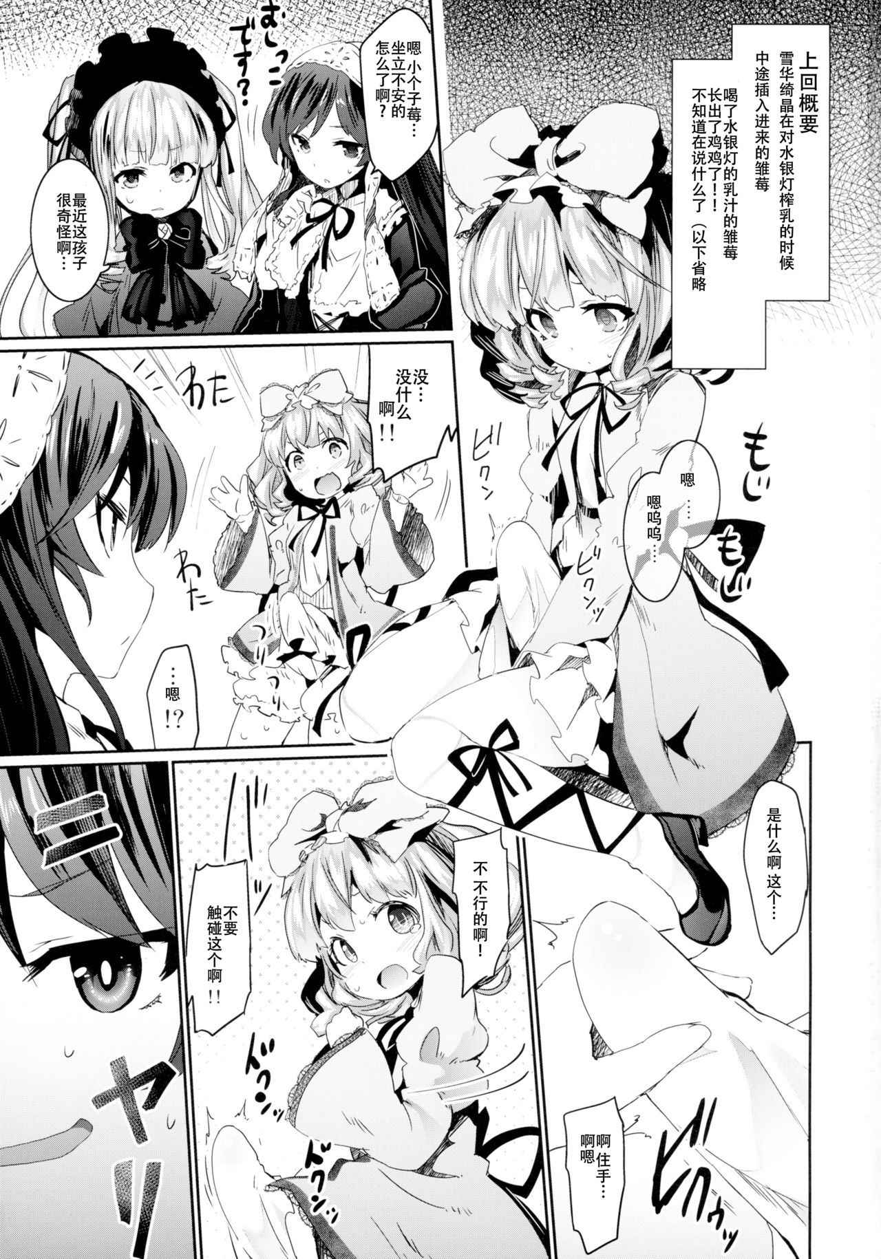 (C89) [Tousen Soudou (Tousen)] Bara Niku! 2 (Rozen Maiden) [Chinese] [靴下汉化组]