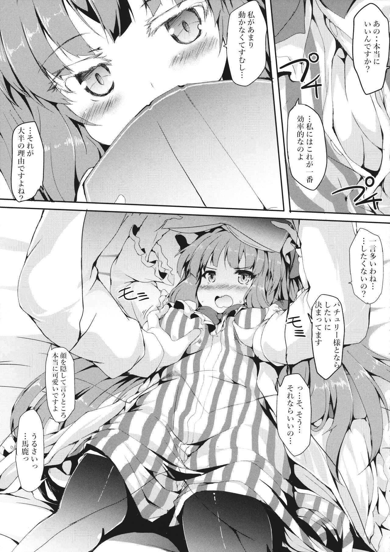 (Reitaisai 14) [Nechorapoddo (Nanpuu)] Patche Ecchi (Touhou Project)