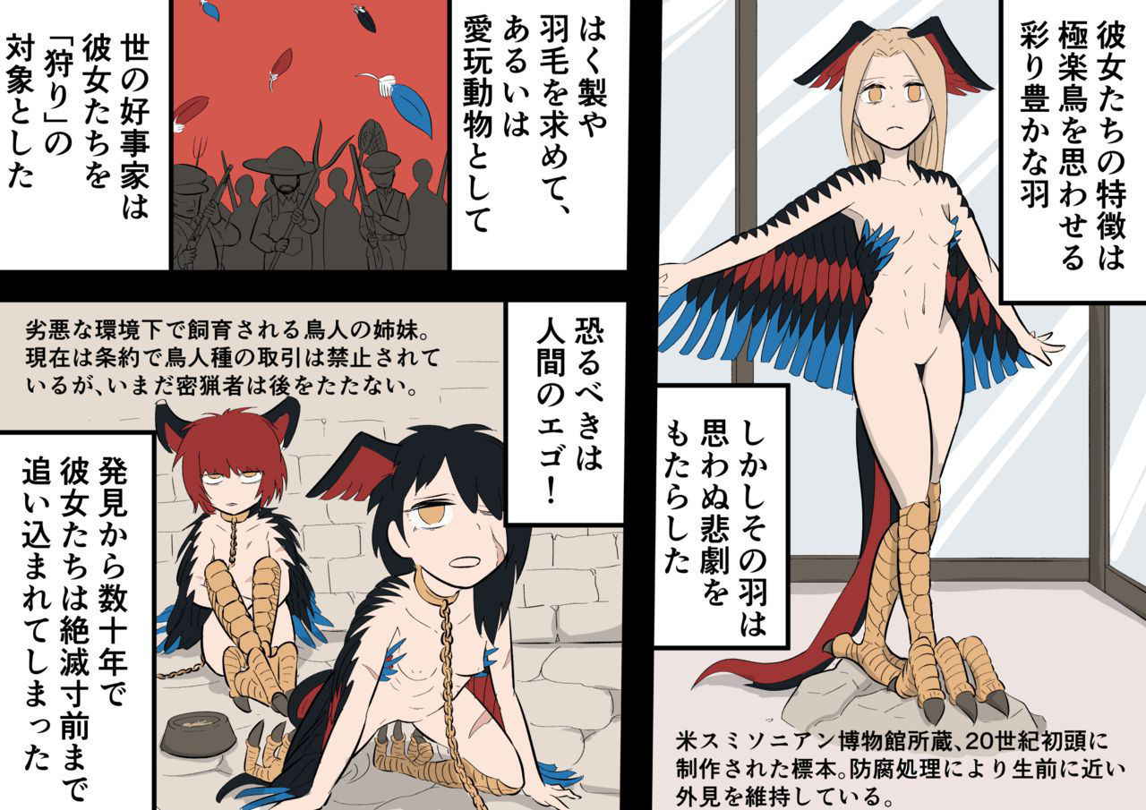 [Alca1c (Nada Shio)] Kaibutsu Musume Studies - Monster Girl Studies