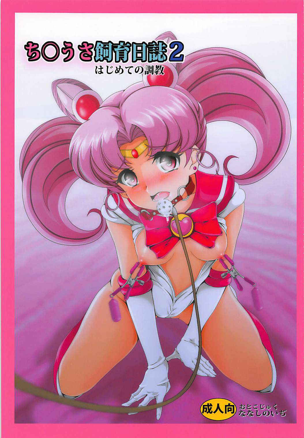 (C93) [Otokojuku (Nanashi Noizi)] Chibiusa Shiiku Nisshi 2 (Bishoujo Senshi Sailor Moon)