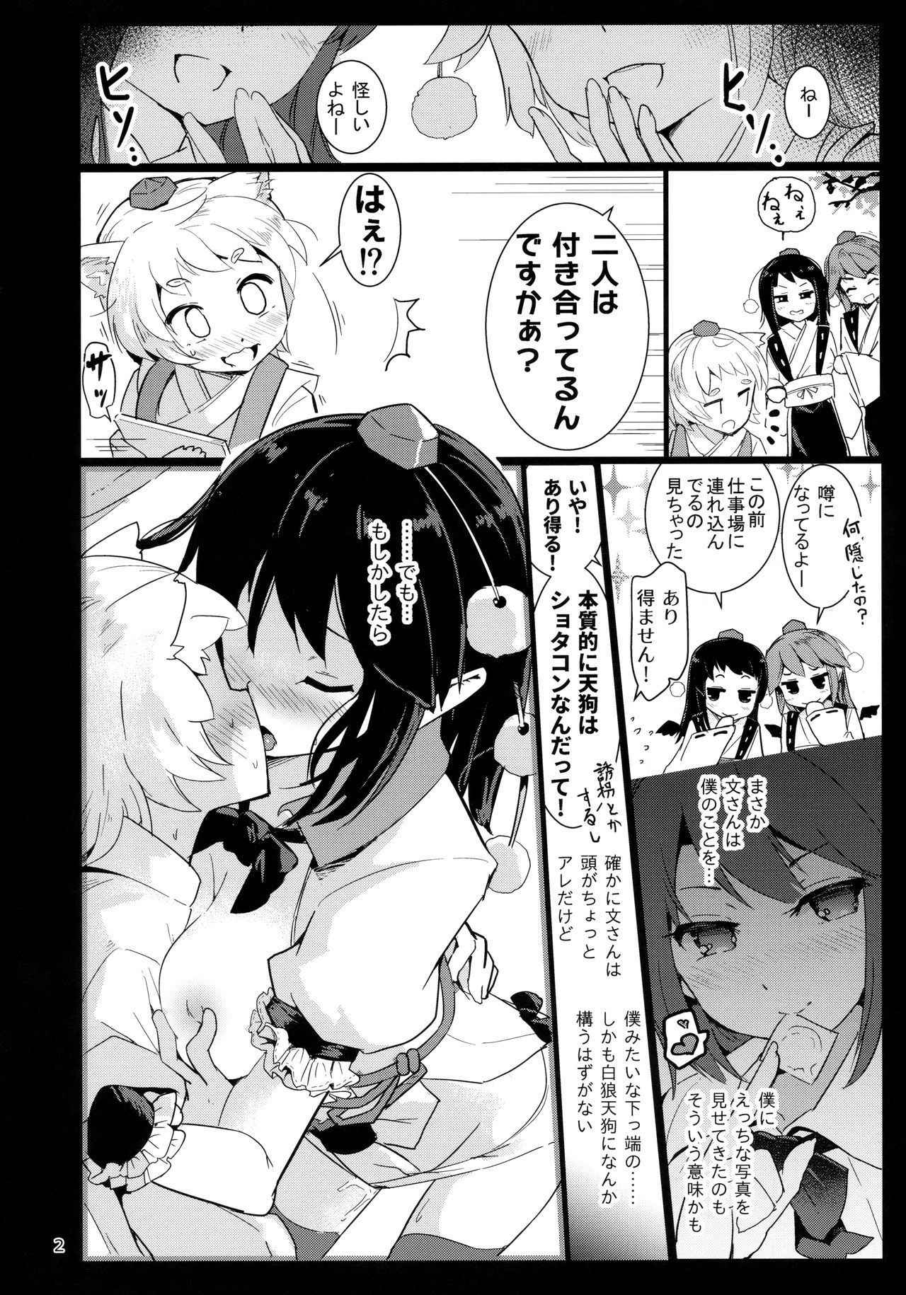 (C94) [Honoji (Puuakachan)] Shameimaru Aya no Appaku Shuzai Ge (Touhou Project)