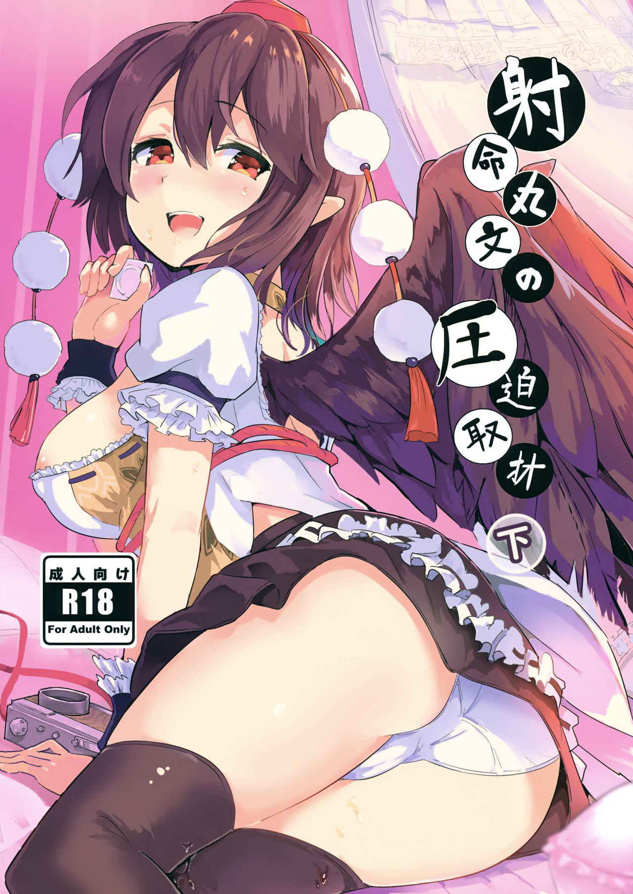 (C94) [Honoji (Puuakachan)] Shameimaru Aya no Appaku Shuzai Ge (Touhou Project)