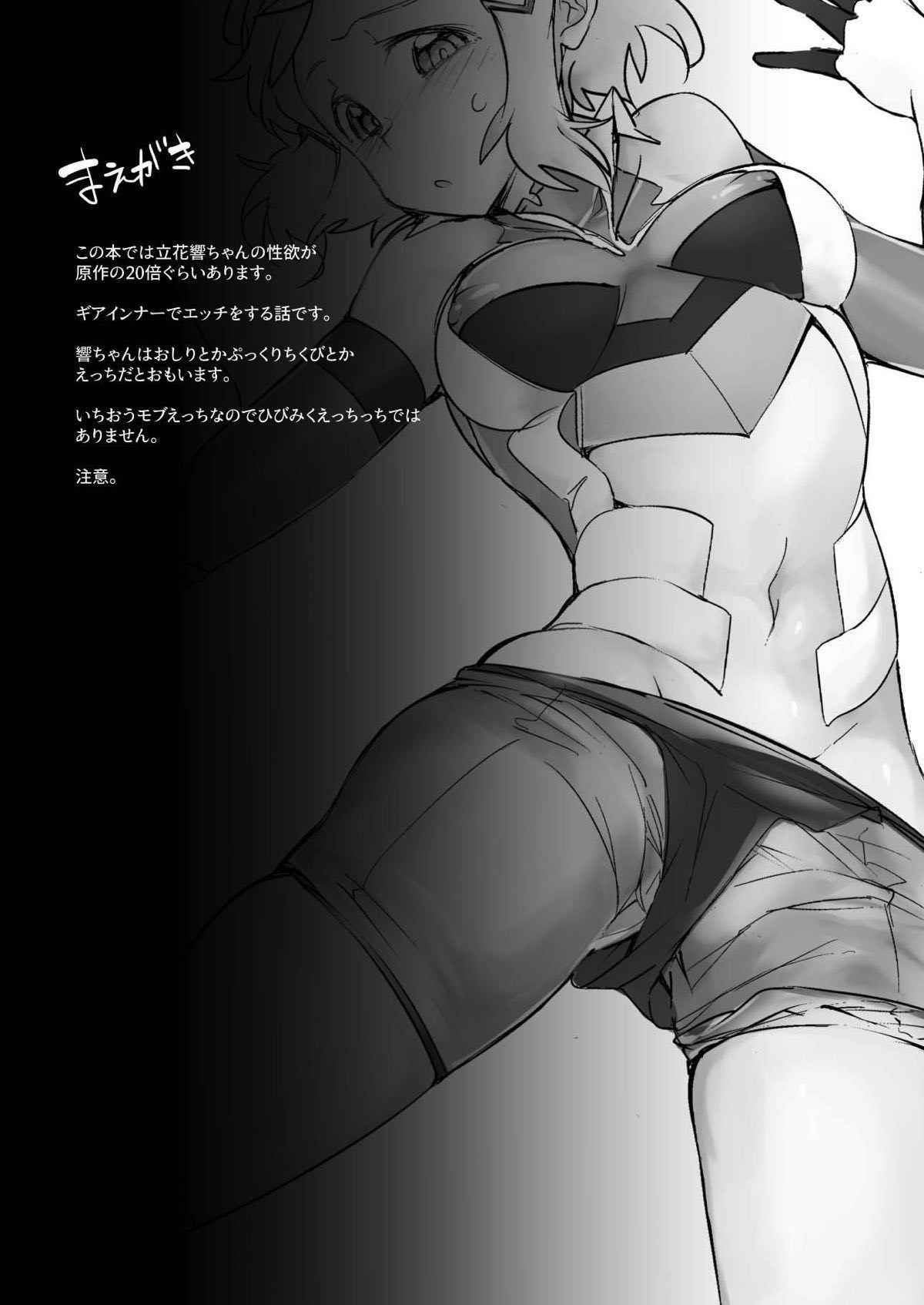 [TATESIMA. (Yokosima)] Symphogear no Erohon (Senki Zesshou Symphogear) [Digital]