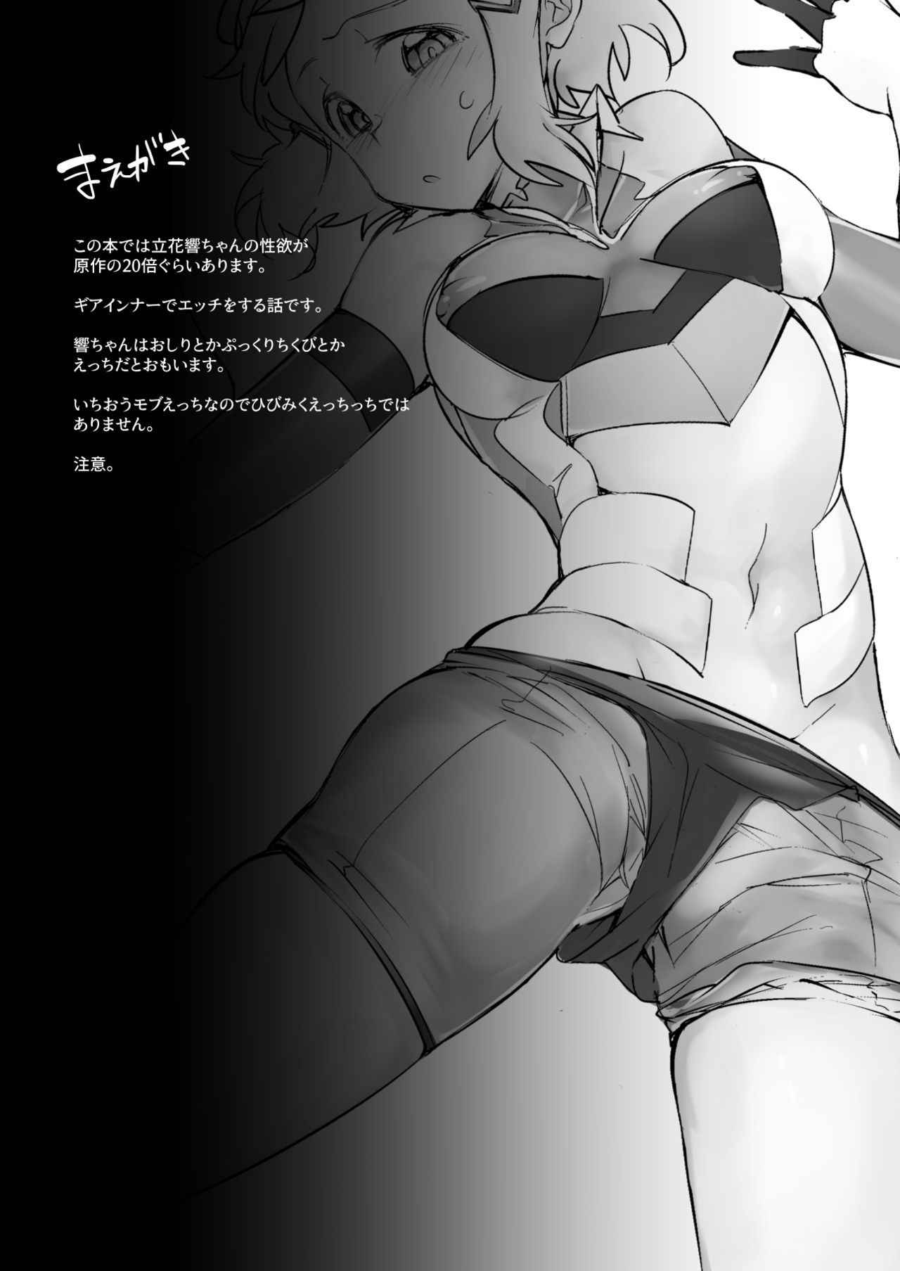 [TATESIMA. (Yokosima)] Symphogear no Erohon (Senki Zesshou Symphogear) [English] [Digital]