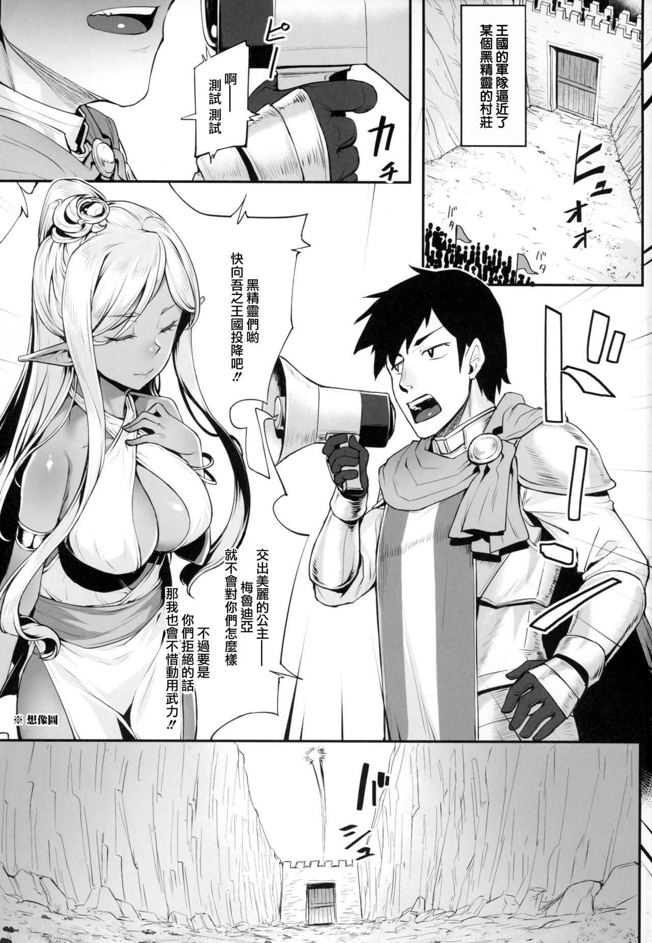 (C94) [Area14 (Kasei)] Dark Elf no Himegimi to Ichakorax [Chinese] [胸垫汉化组]