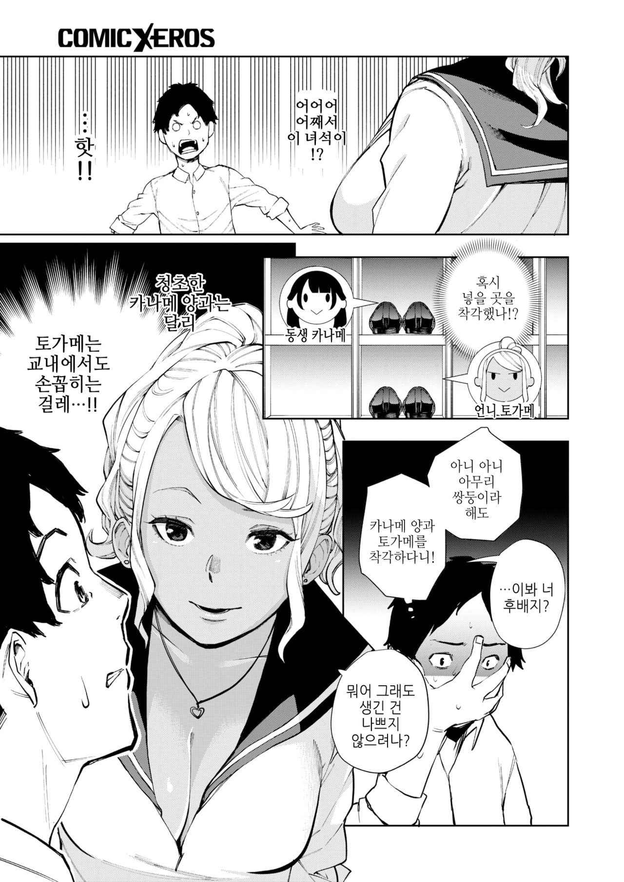 [tulip] ShiroYagi-san to KuroYagi-san | 흰염소 양과 흑염소 양 (COMIC X-EROS #68) [Korean] [Digital]