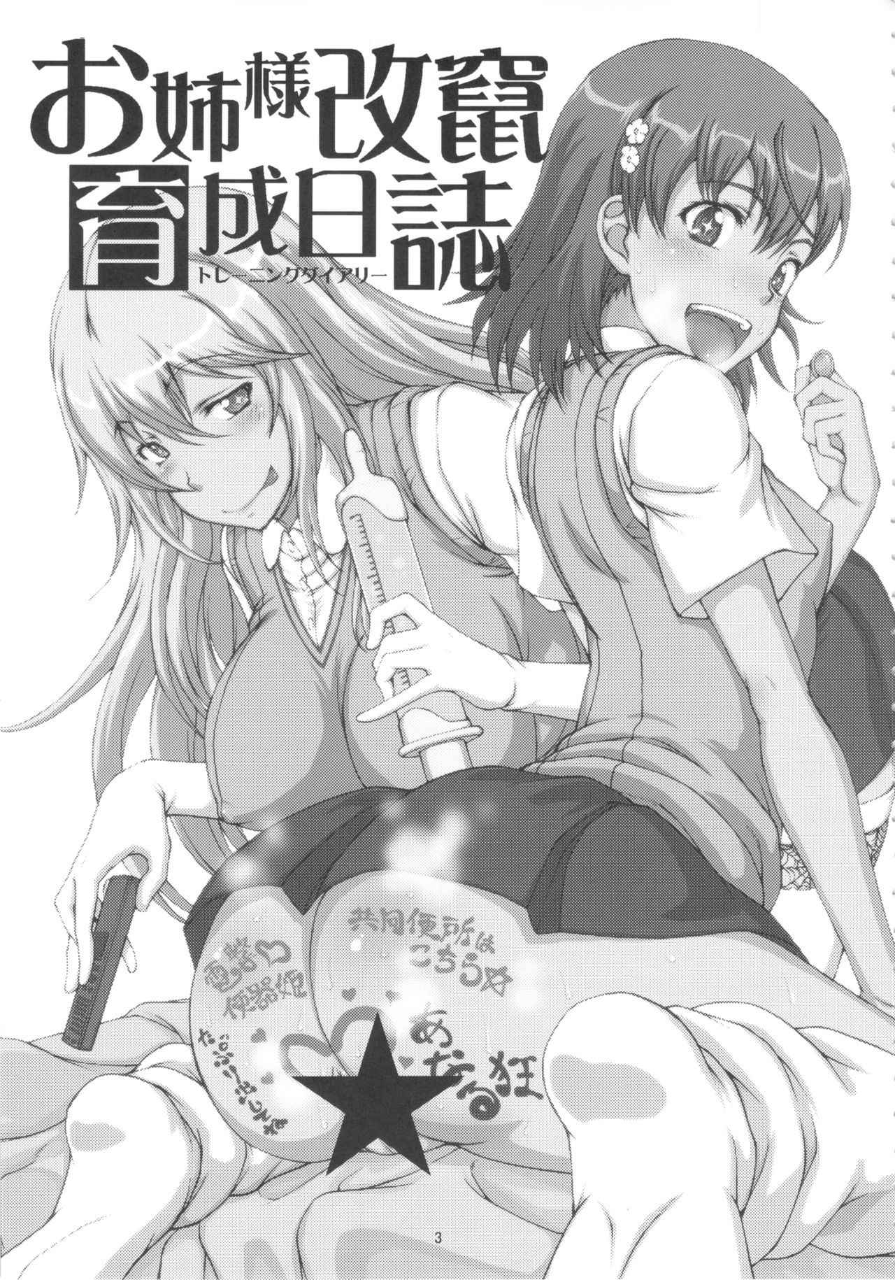 (C83) [Majimadou (Matou)] Oneesama Kaizan Training Diary (Toaru Kagaku no Railgun) [English] [N04h]