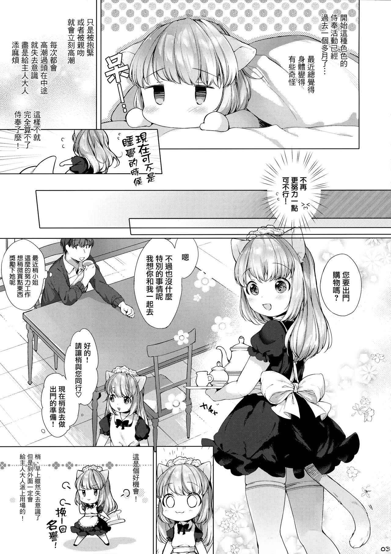 (C93) [ANCHOR (Mutou Mato)] My Little Maid 4 [Chinese] [山樱汉化]