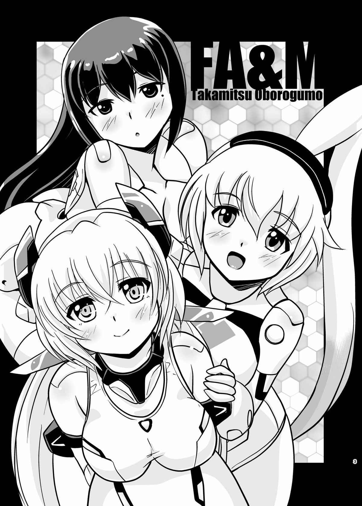 [Misuterutein (Oborogumo Takamitsu)] FA&M (Busou Shinki) [Digital]