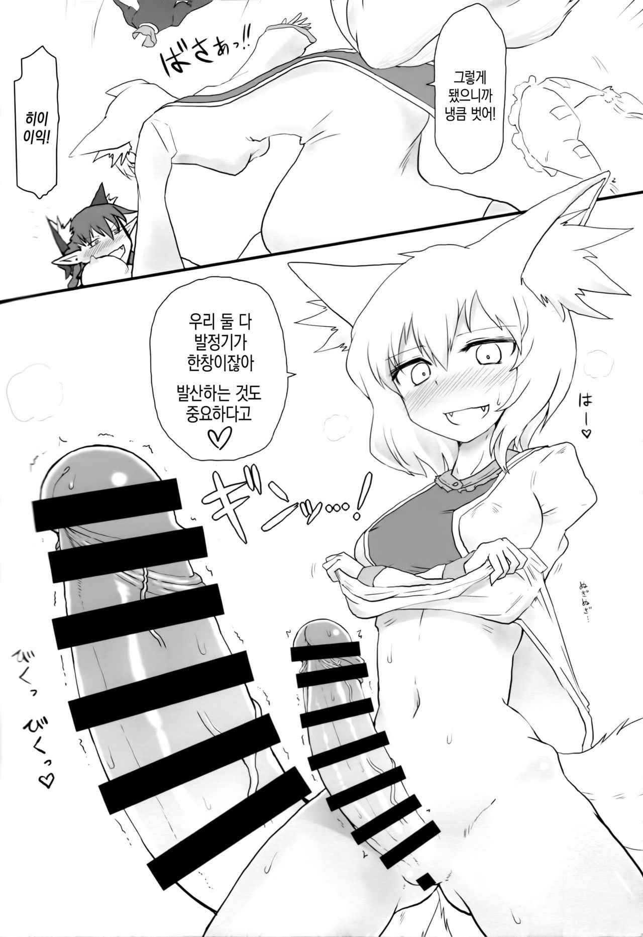 (Reitaisai 13) [Psychetangle (Keta)] KitsuNeko. | 여우냥이. (Touhou Project) [Korean]