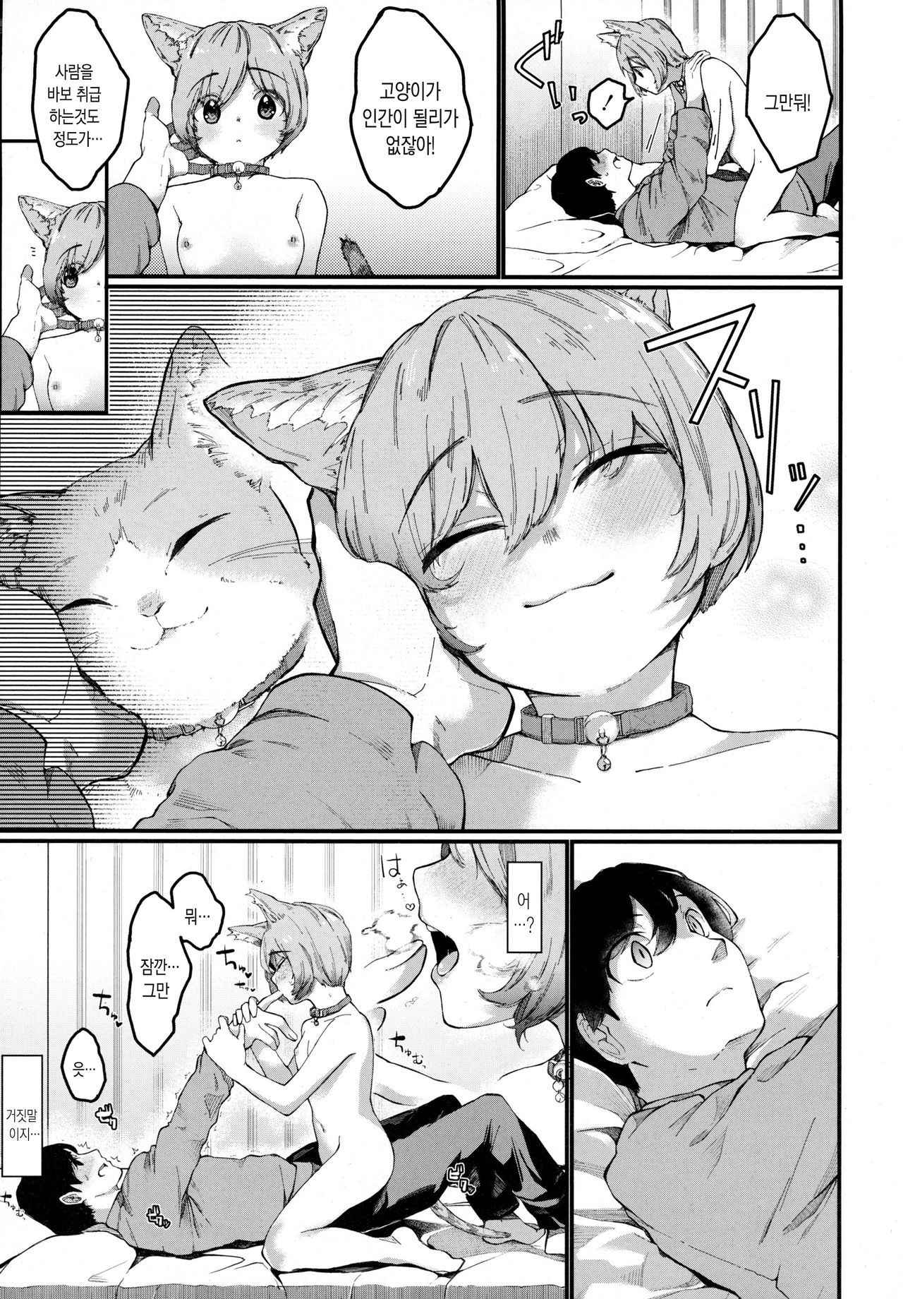 [Tarazoo] Night with Nyanko (COMIC Tenma 2016-03) [Korean]