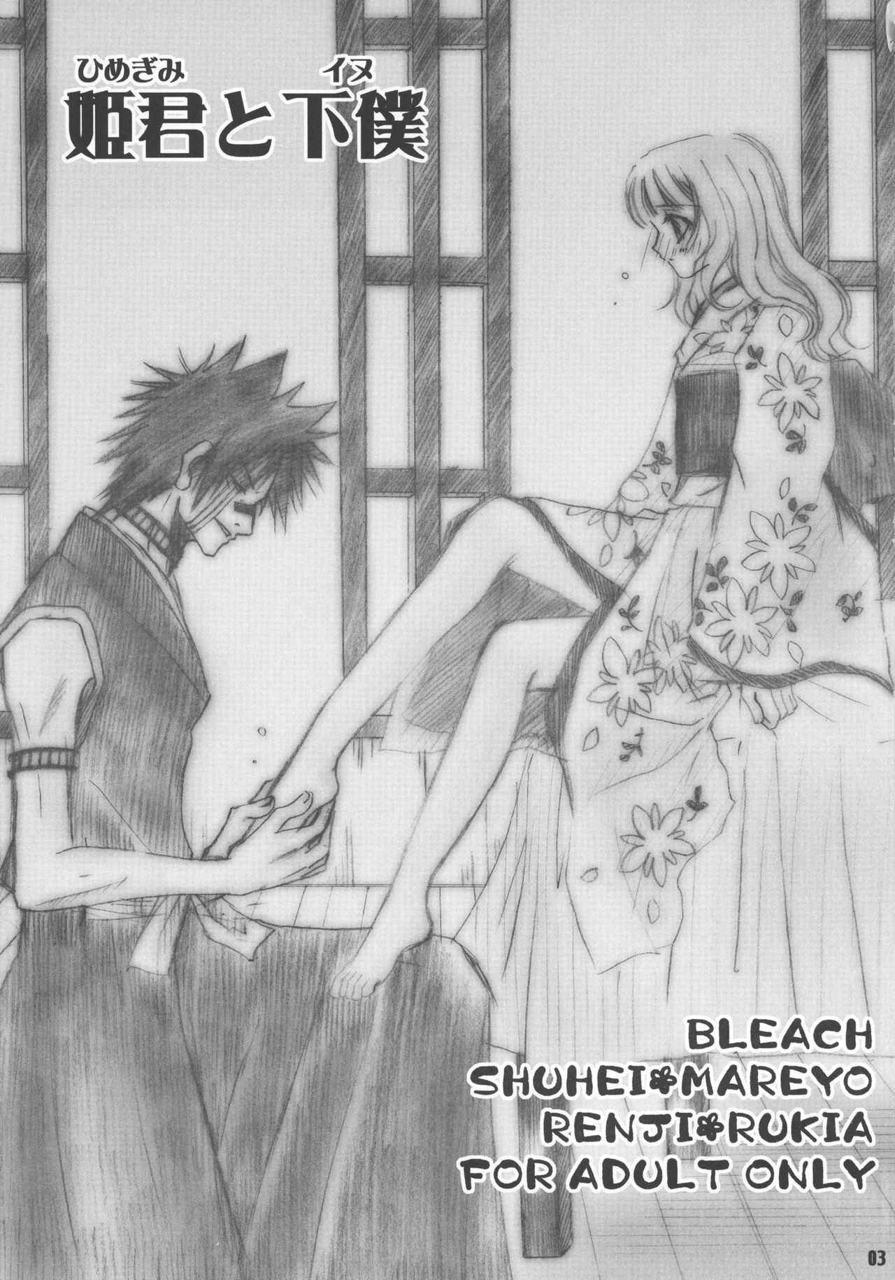 (C70) [SAKURAEN (Suzume, Reimi Okada)] Himegimi to Geboku (Bleach)