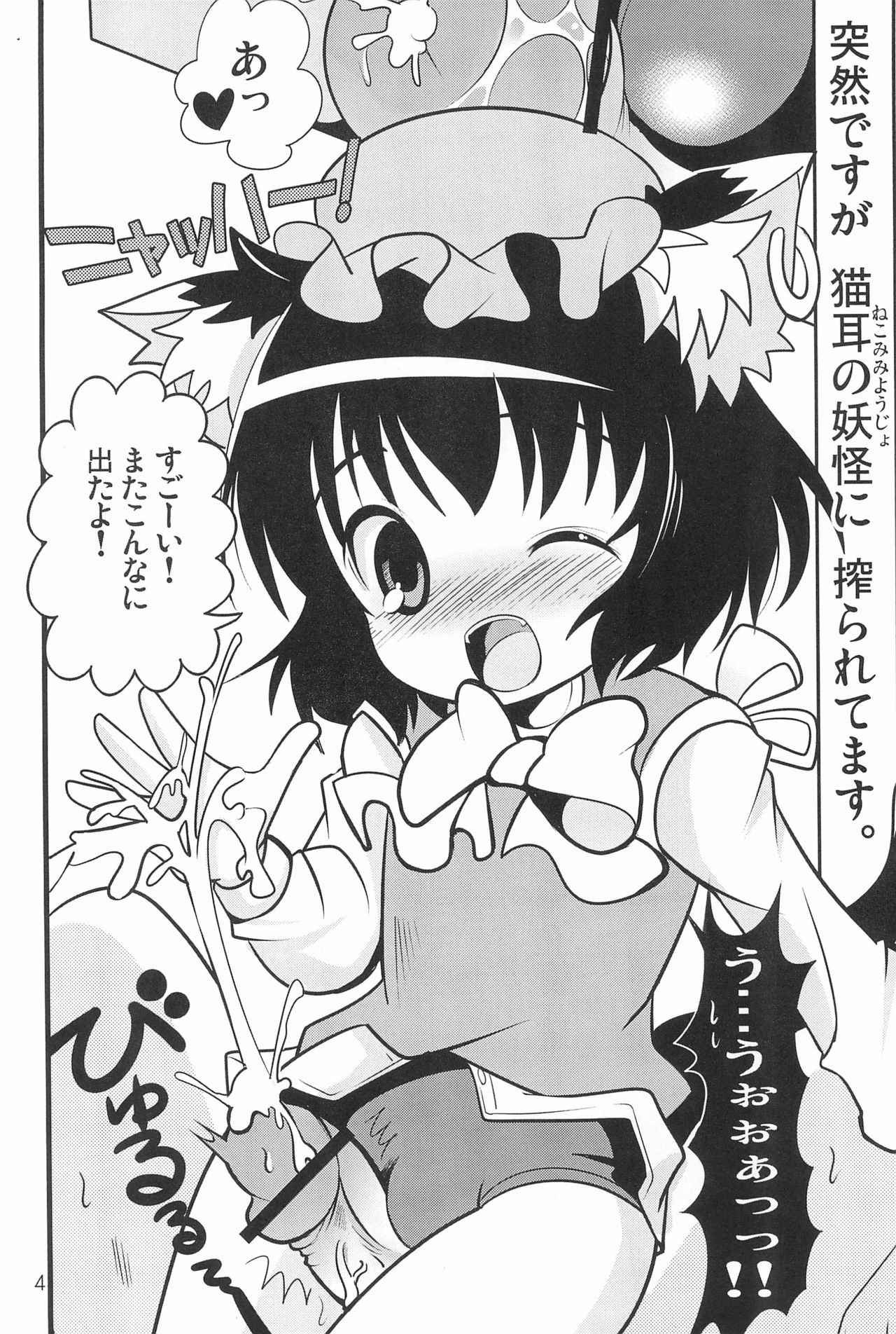 (C80) [Nyaa. to Hidamari (Takamoto Akisa)] Youjuu dakara Daijoubu! (Touhou Project)