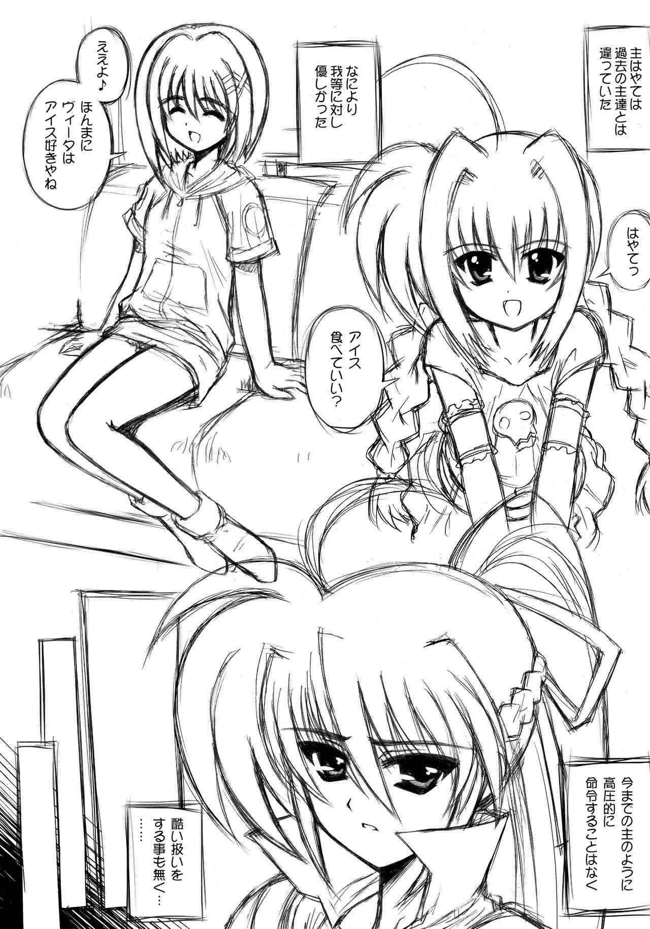 [Kamogawaya (Kamogawa Tanuki)] Past&Present (Mahou Shoujo Lyrical Nanoha StrikerS)