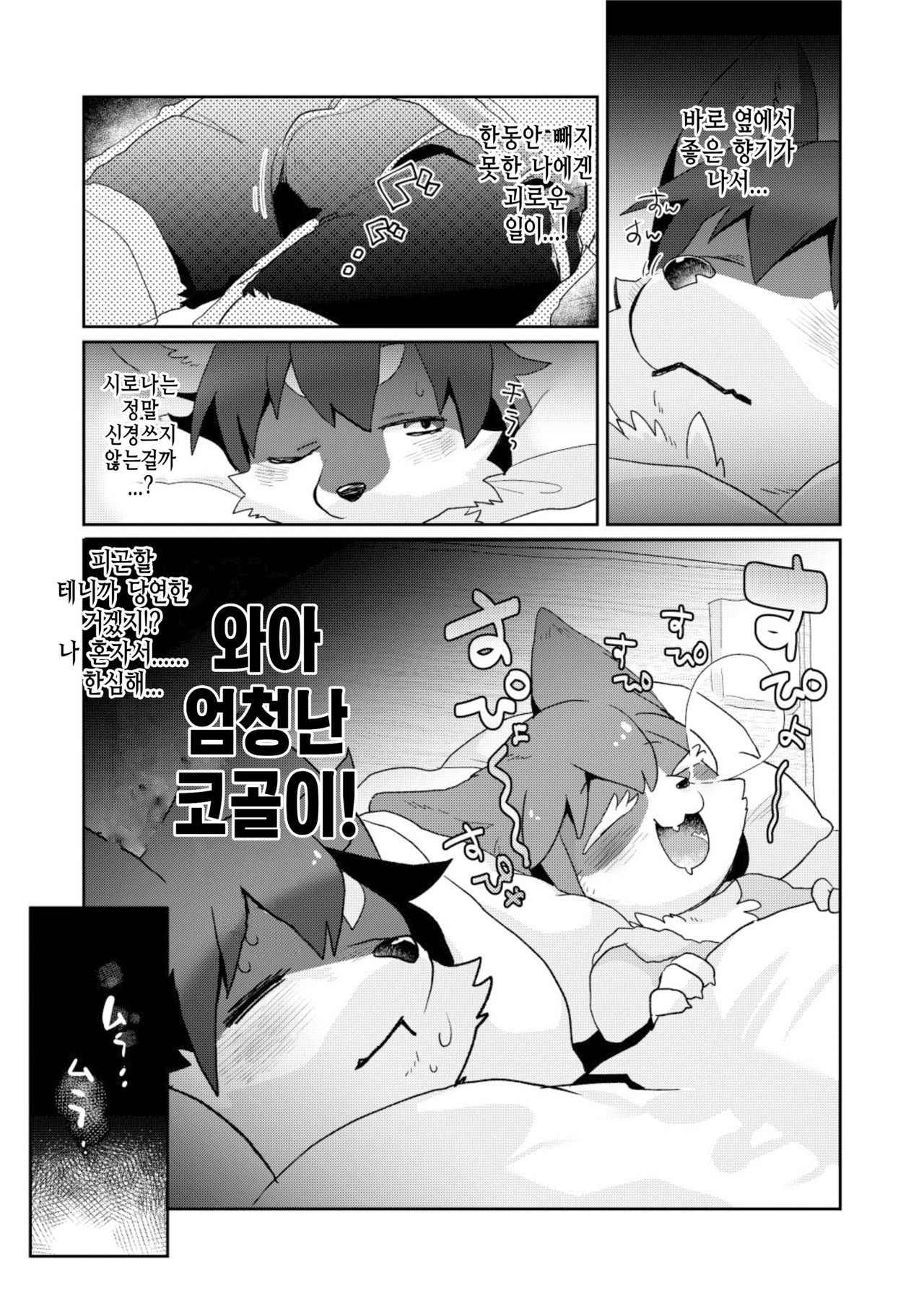 (Kansai! Kemoket 6) [moffle (mabo)] Kore ga Watashi no Yusha-sama [korean][TeamHT]