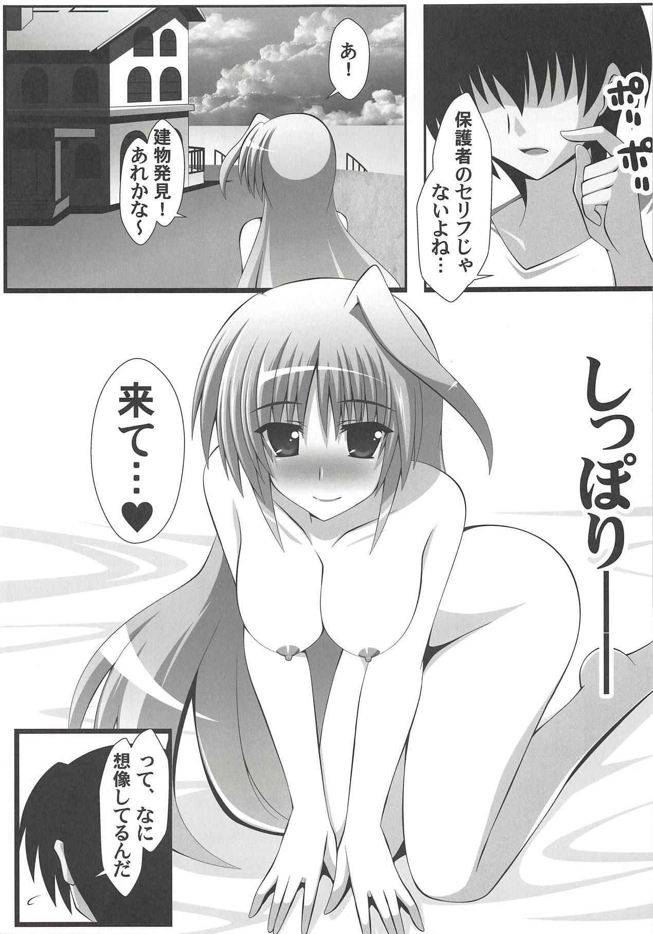 (C94) [Aquarius Gate (Engo)] Eins to Physical Unison (Mahou Shoujo Lyrical Nanoha)